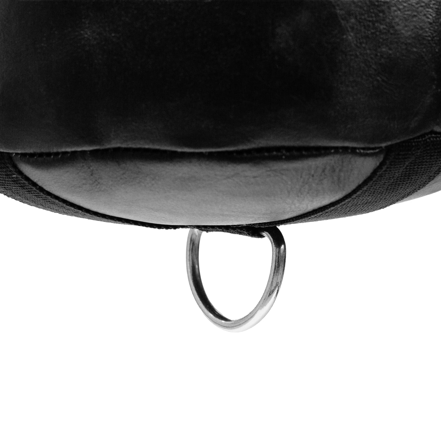Black 1910 Everlast punching bag