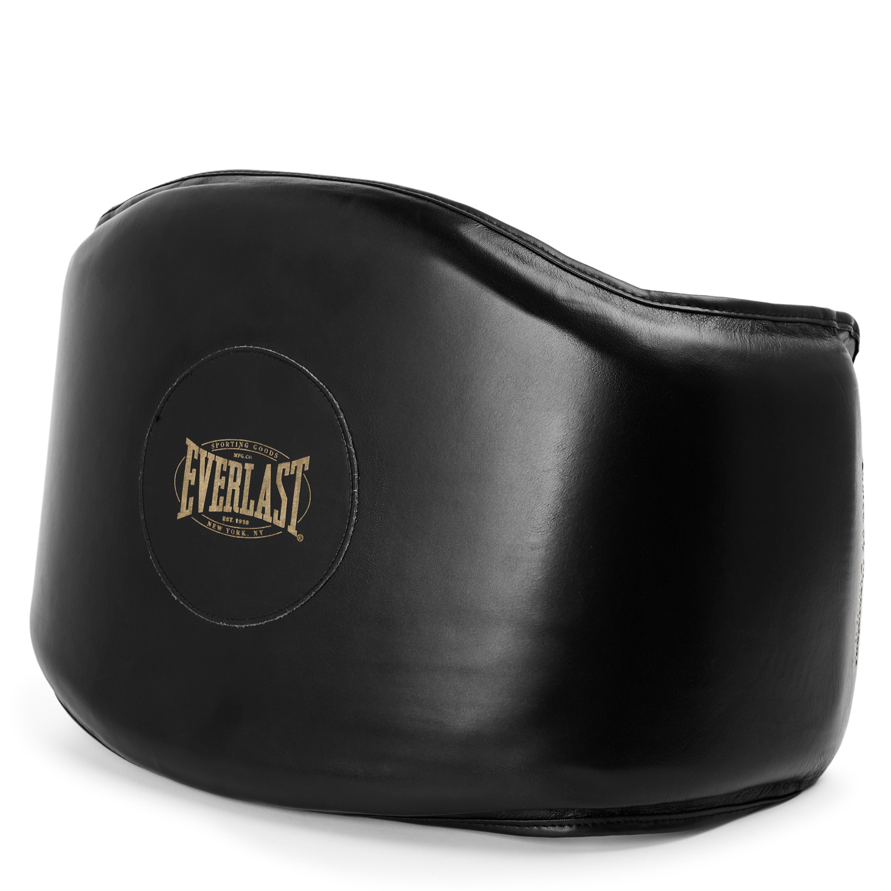1910 Pro Leather Mini Body Protector – Everlast