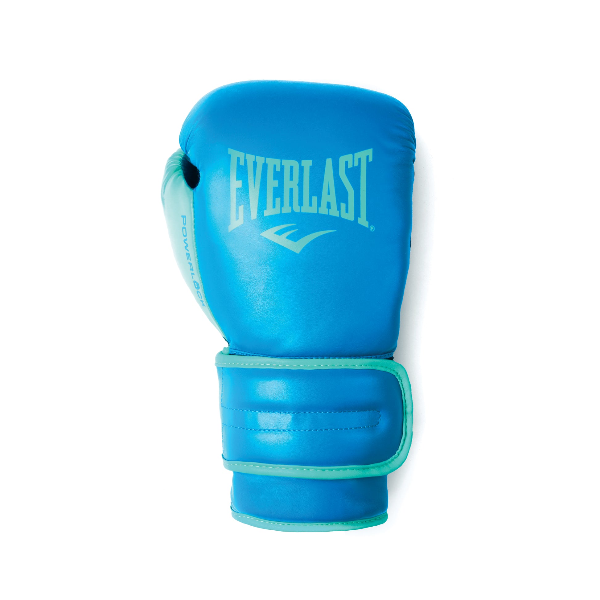 Powerlock 2R Training Gloves Hook and Loop Blue