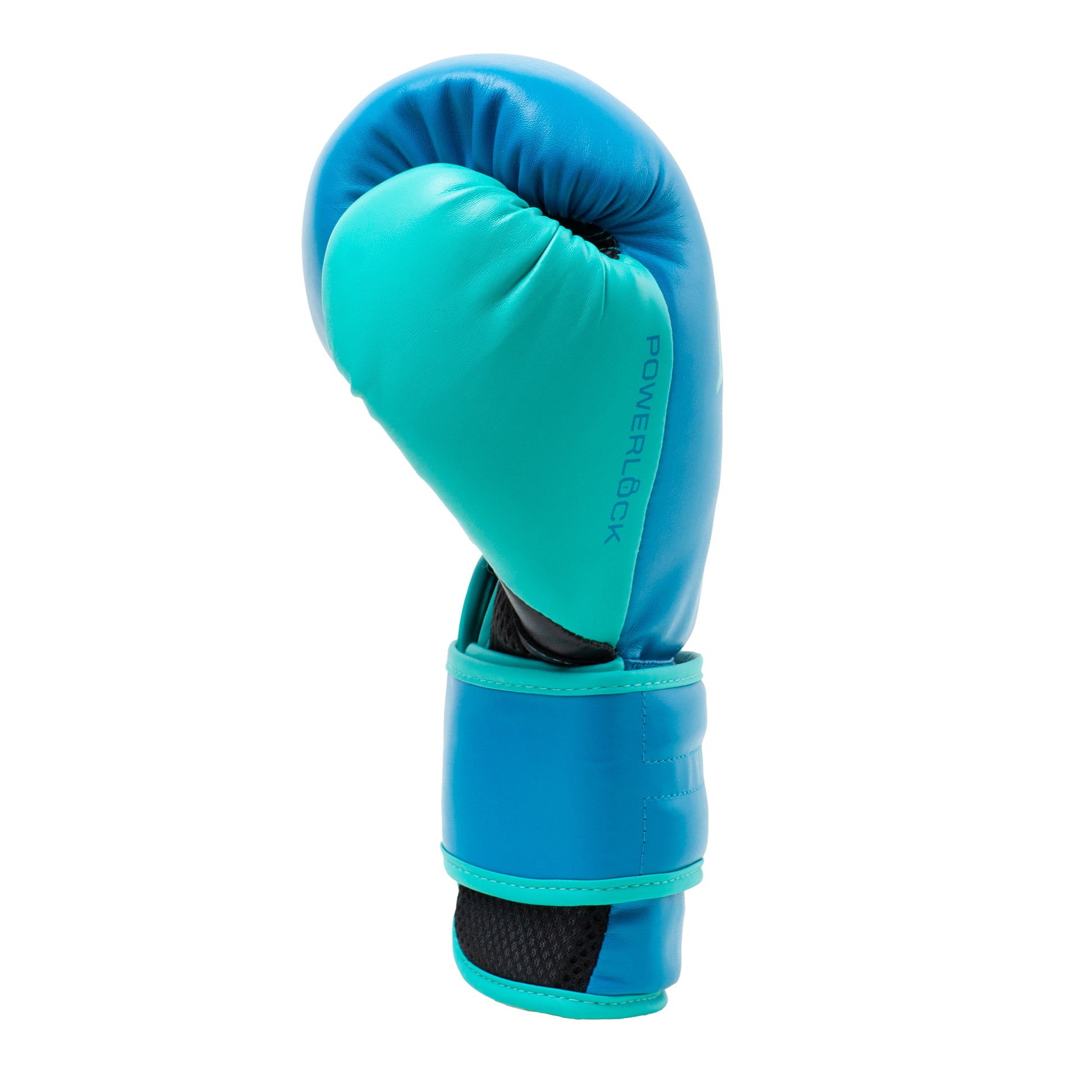 Powerlock 2R Training Gloves Hook and Loop Blue