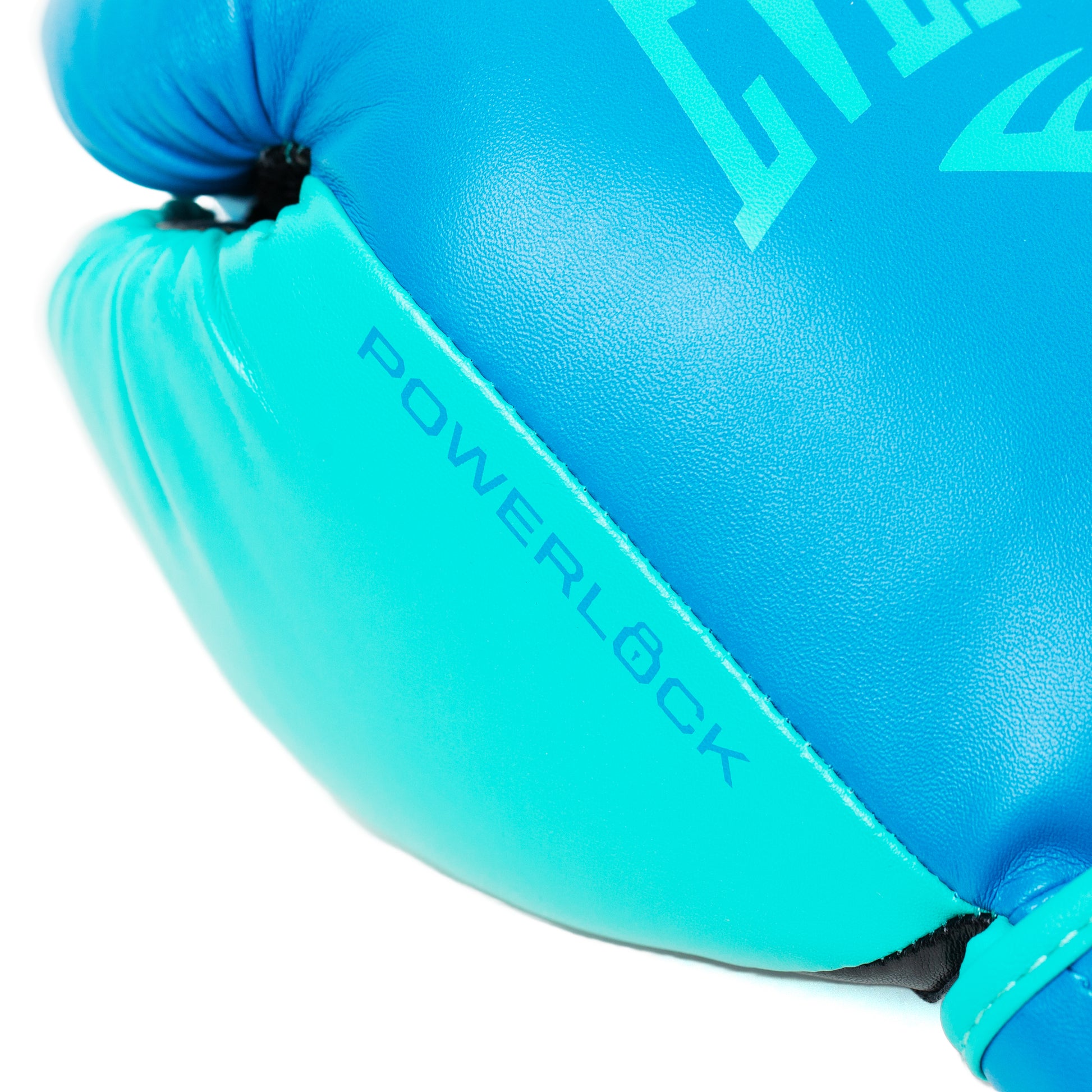 Powerlock 2R Training Gloves Hook and Loop Blue