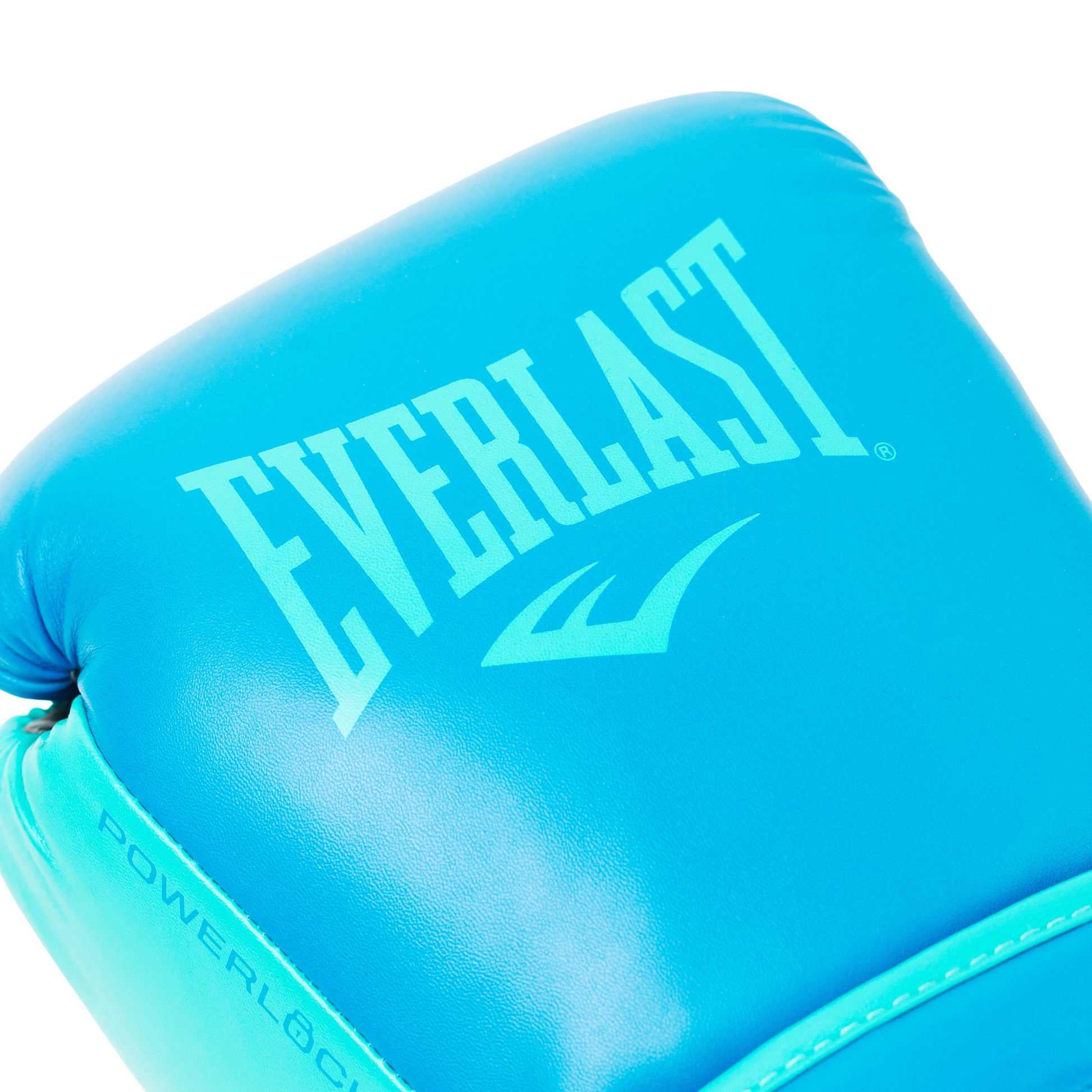 Powerlock 2R Training Gloves Hook and Loop Blue