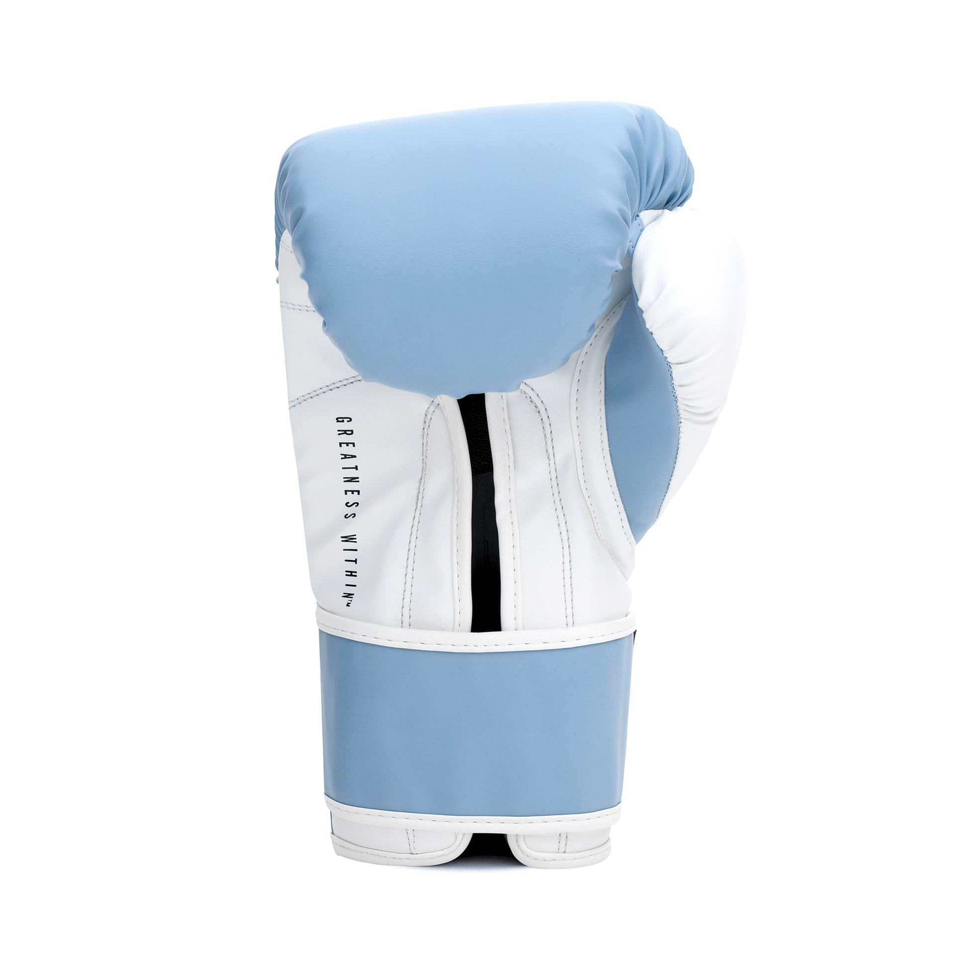 Powerlock OG Boxing Glove Hook & Loop Blue/White