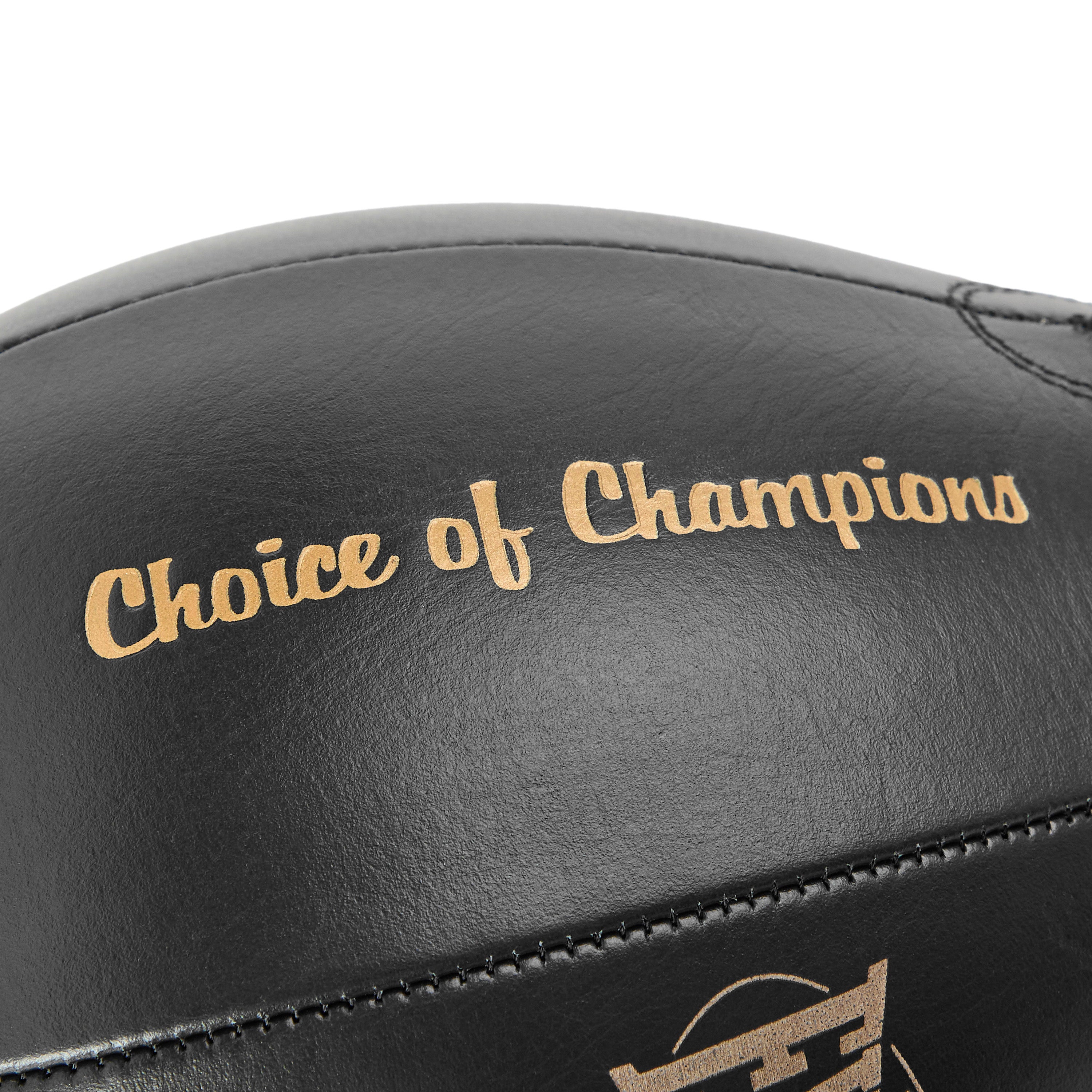 1910 Pro Leather Speed Punching Bag – Everlast