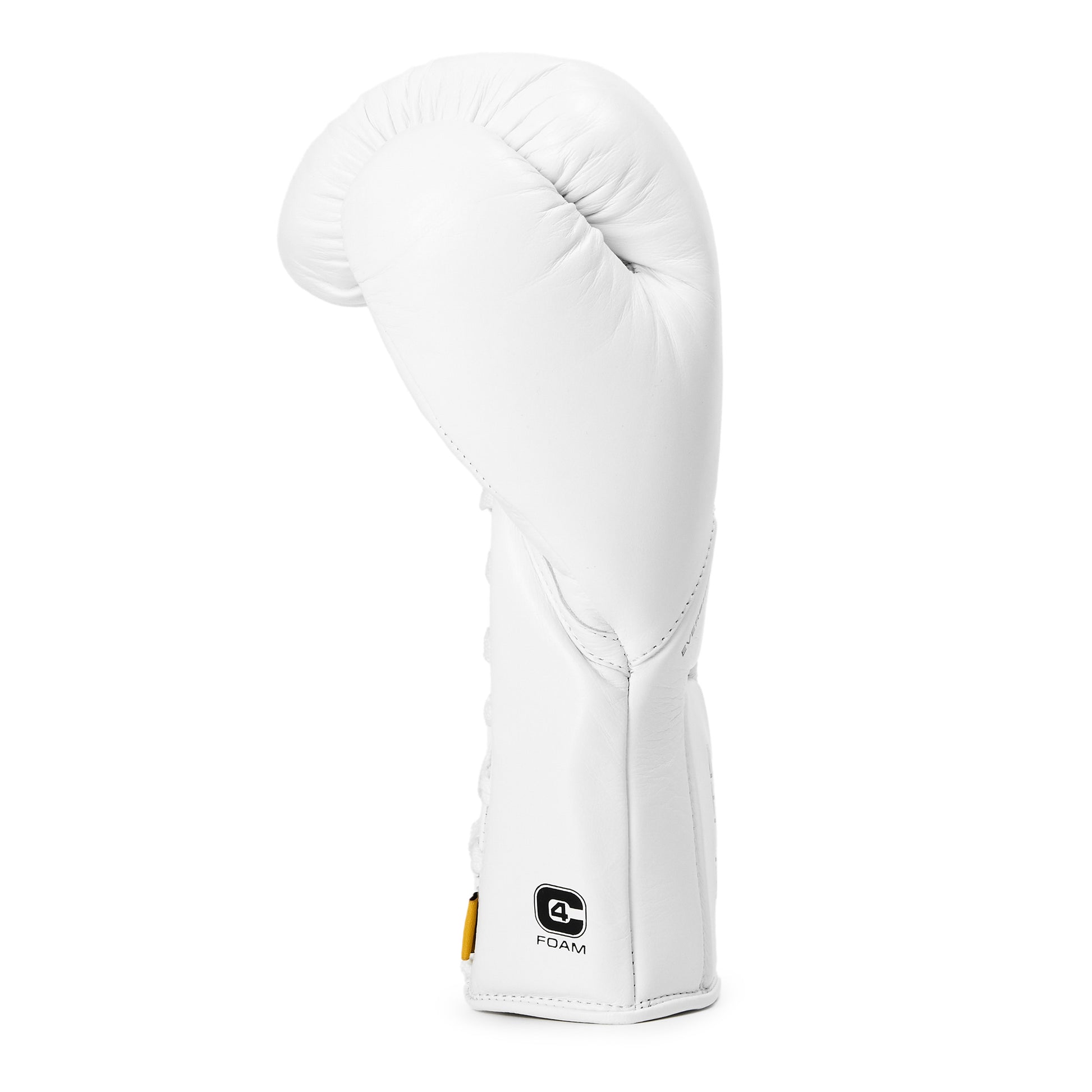 A white Everlast Elite boxing glove, one showing the front with 'EVERLAST' branding and the other showing the laces with 'Cluster of Champions' text, on a plain background.