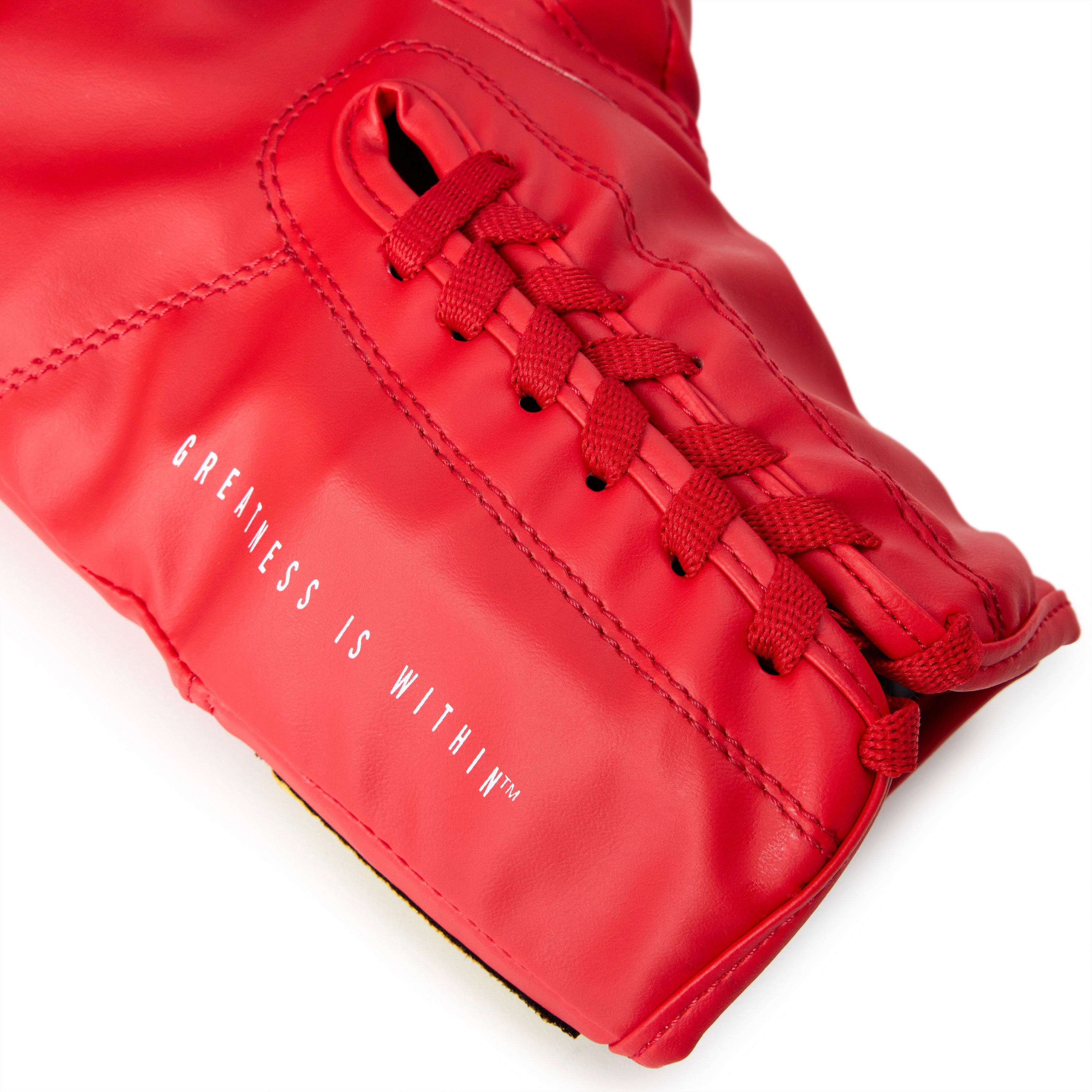 Vinyl Autograph Glove | Everlast