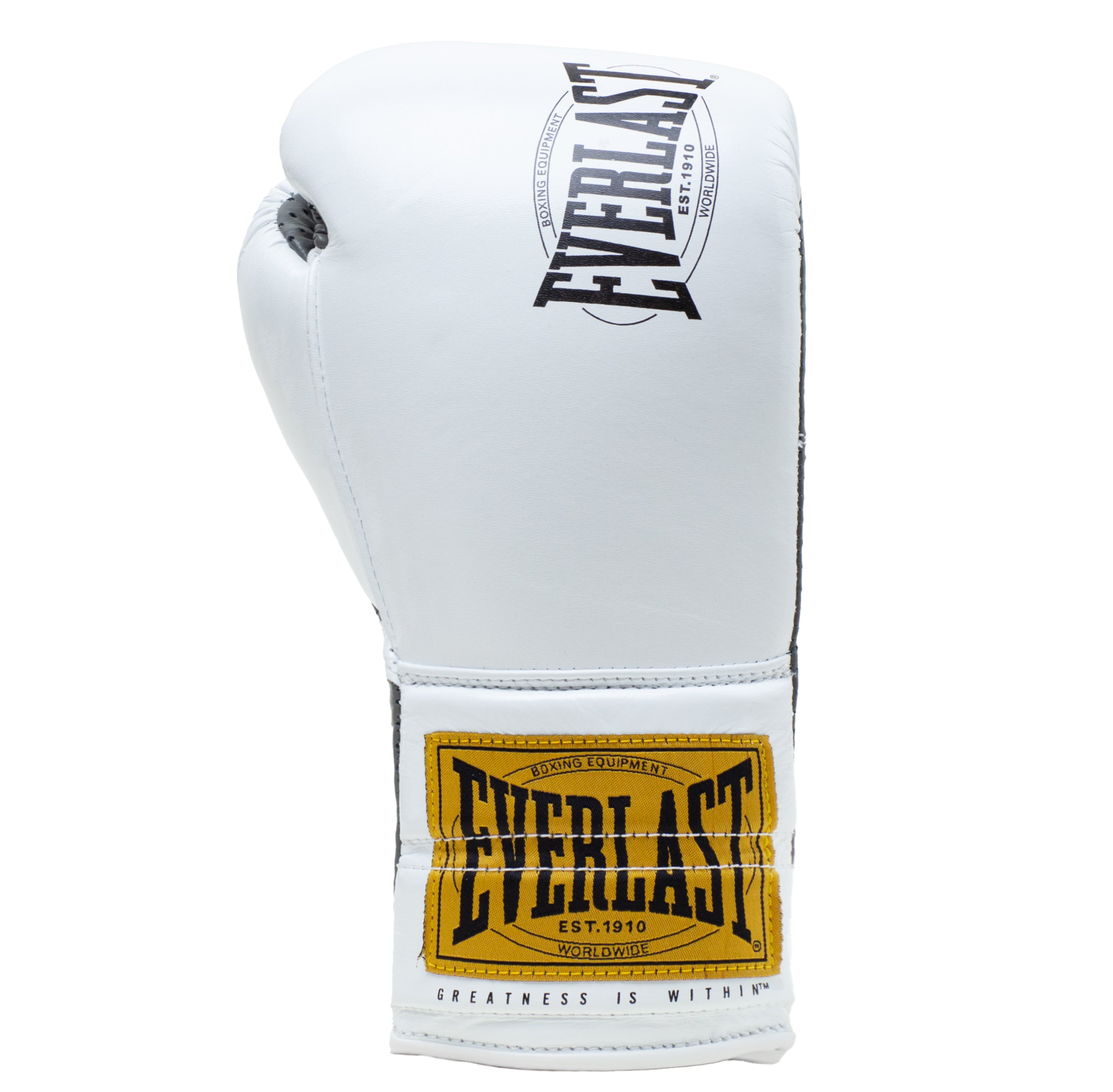 EVERLAST 1910 グローブ Amazon.com : Everlast 1910 Boxing Gloves | Training Gloves