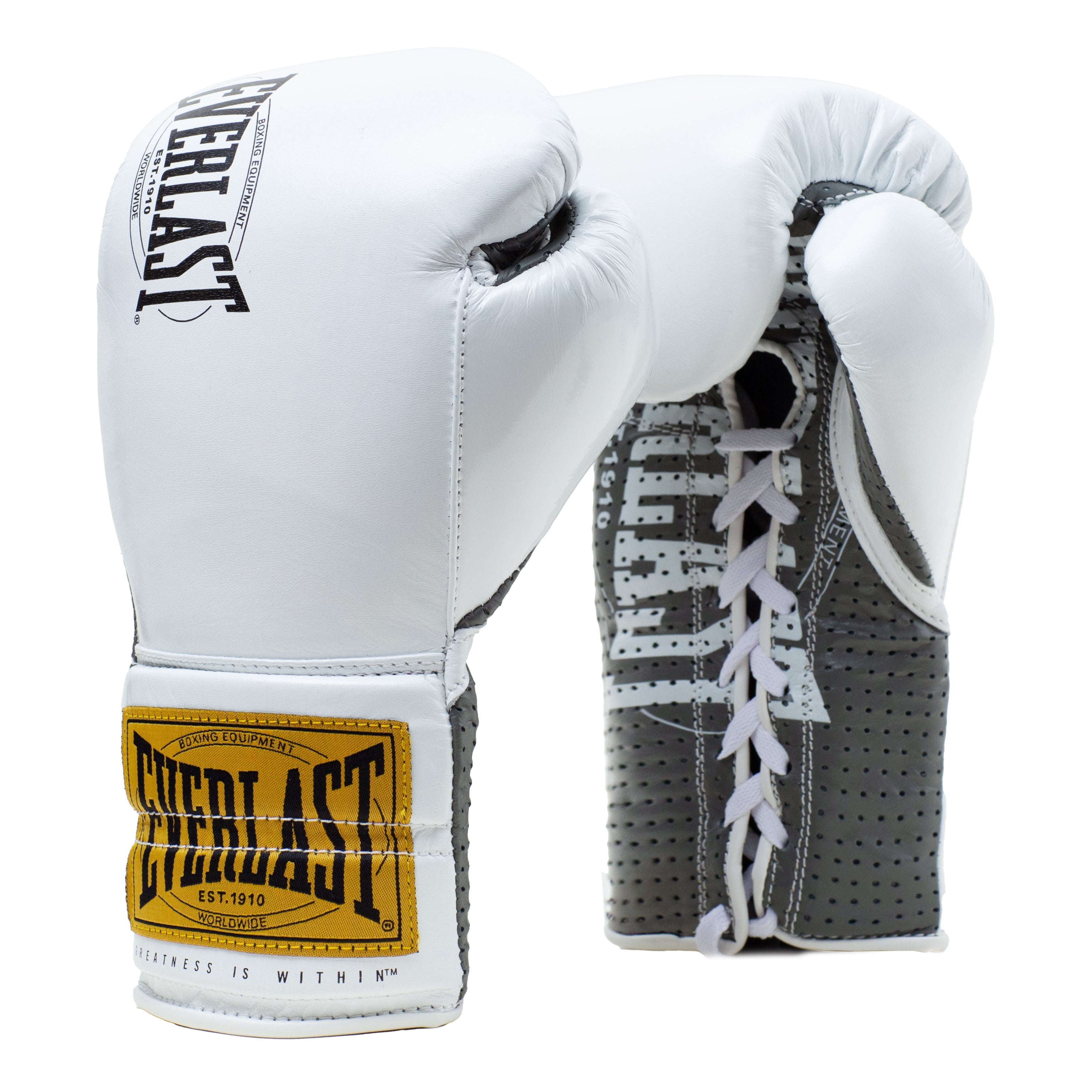 1910 Classic Fight Glove – Everlast