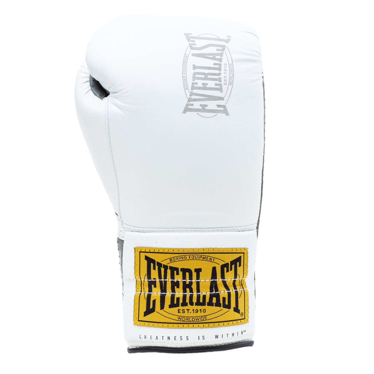 1910 Laced Sparring Gloves