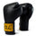 Black 1910 Pro Hook and Loop Boxing Gloves