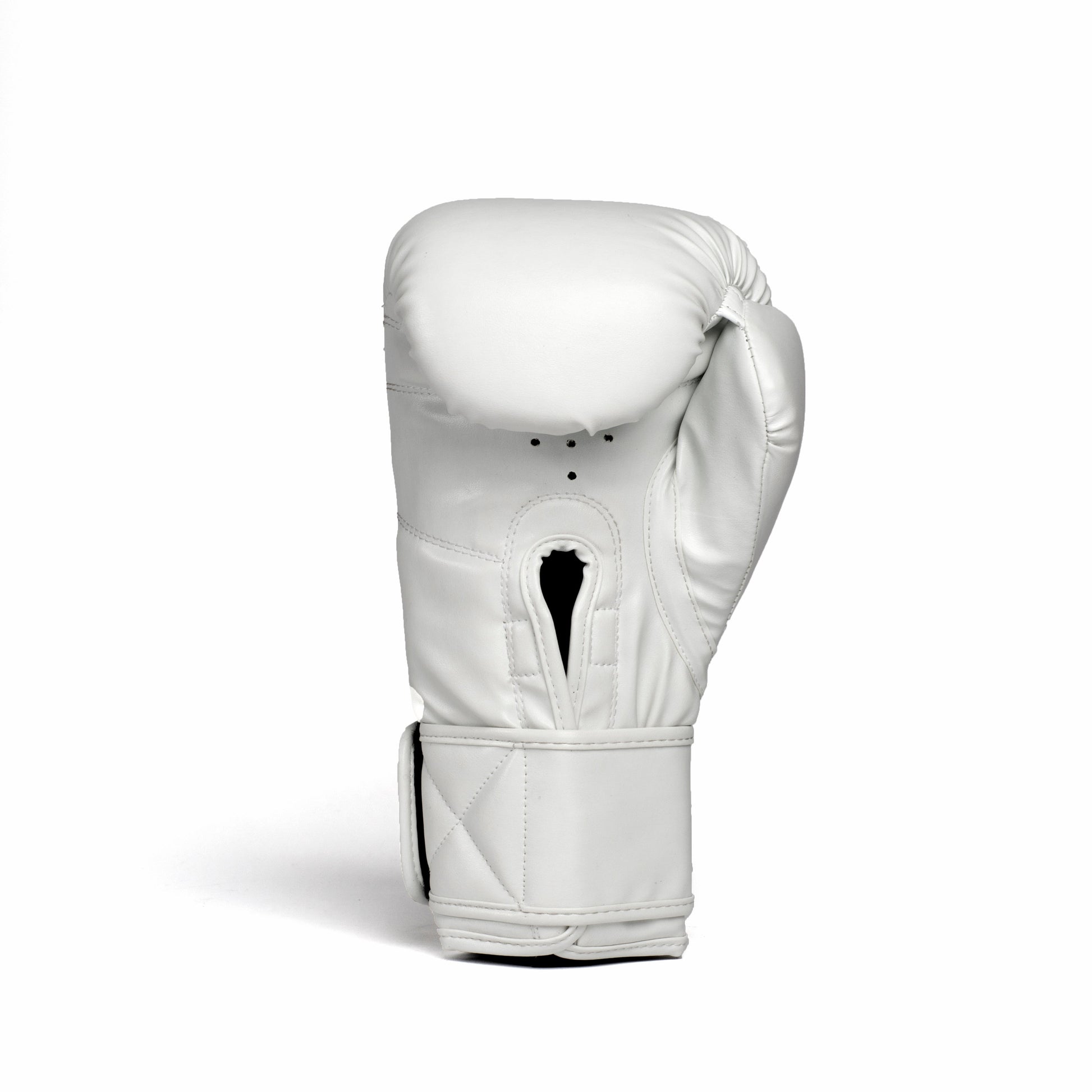 1910 Classic Boxing Gloves - Everlast