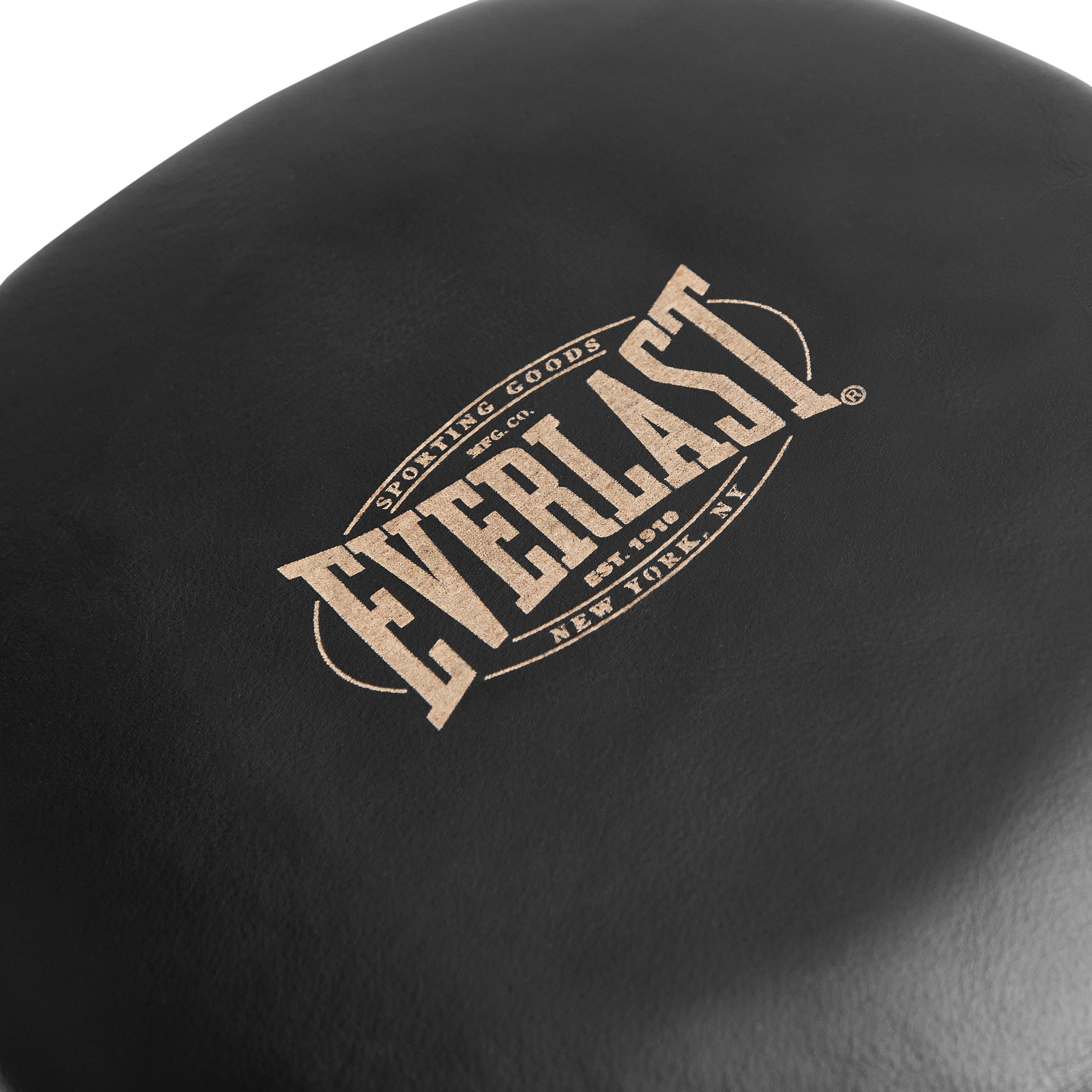 1910 Pro Leather Air Core Focus Mitts – Everlast