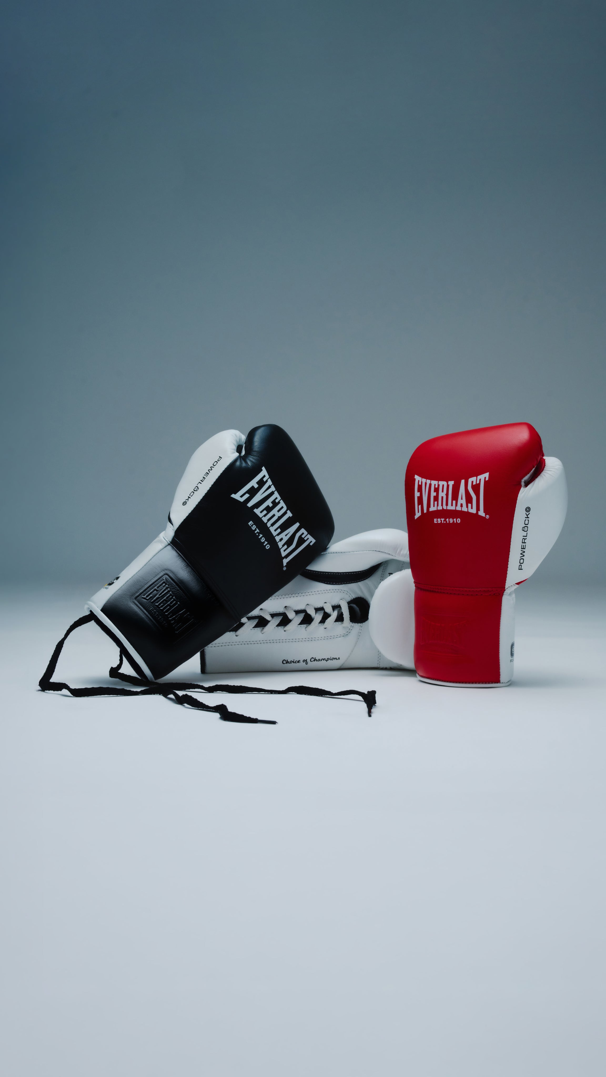 【使用1回】Everlast Powerlock2 12oz Powerlock 2 Hook & Loop Pro Training Gloves | Everlast