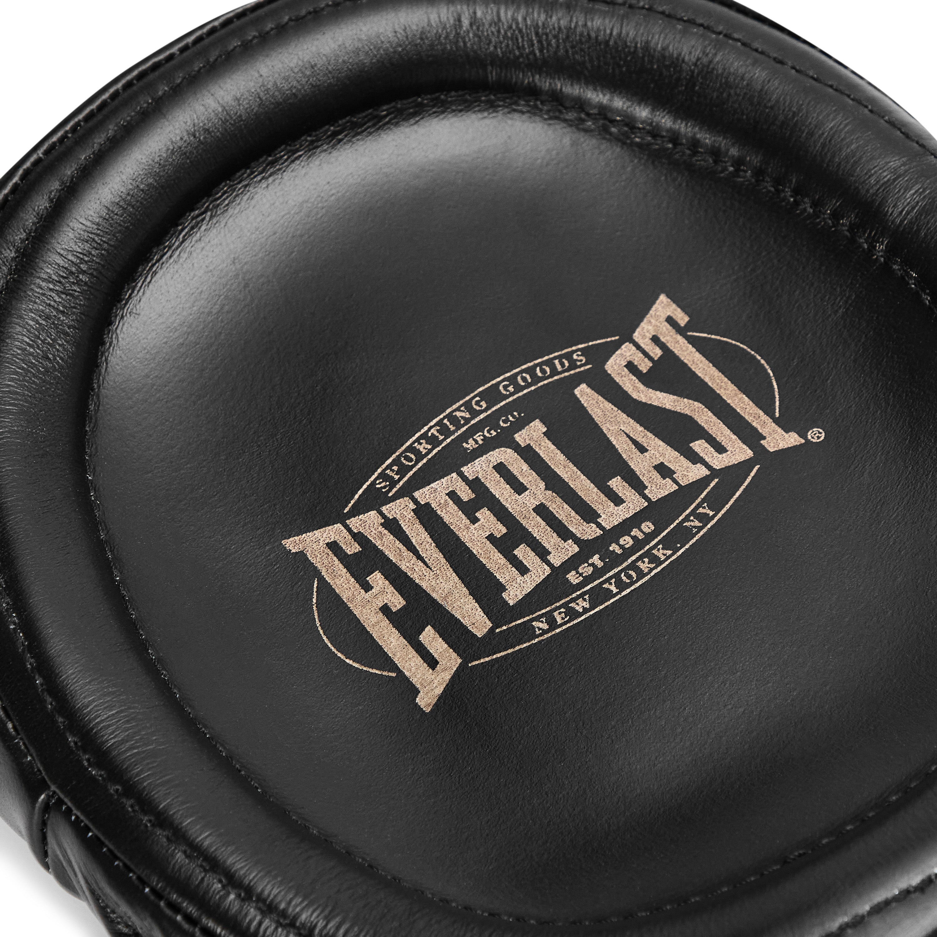 1910 Pro Leather Speed Focus Mitts – Everlast