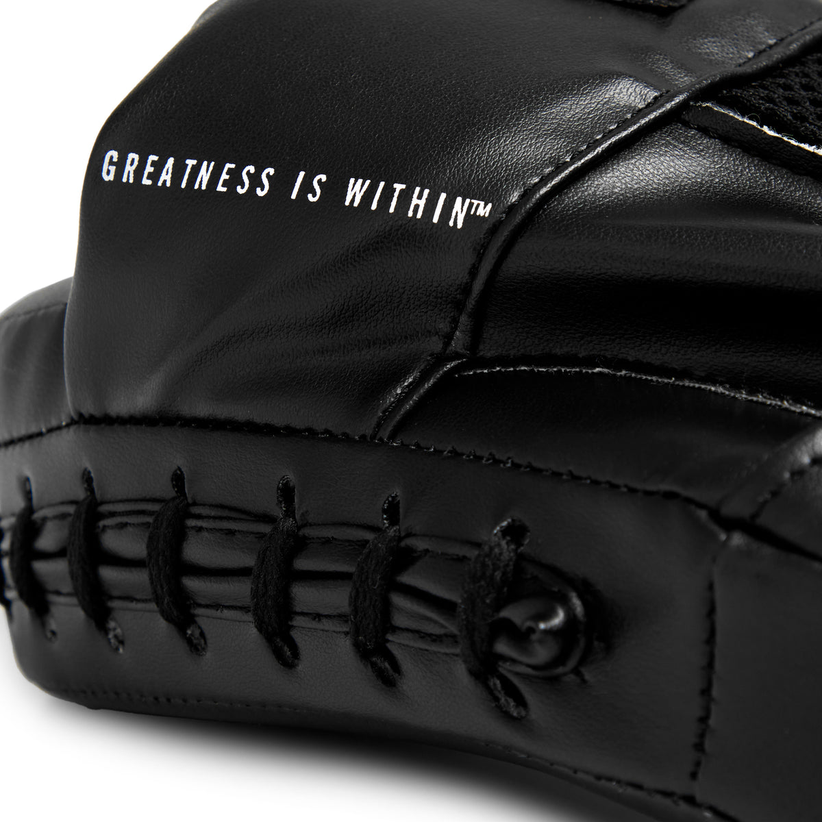 Classic Focus Mitts
