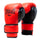 Powerlock 2R Training Gloves Hook and Loop Red