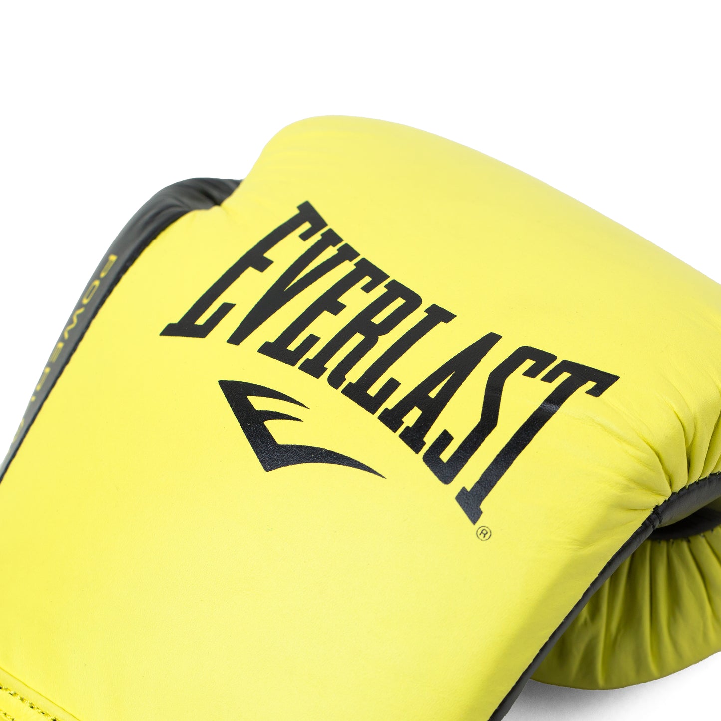 Powerlock 2 Pro Fight Gloves