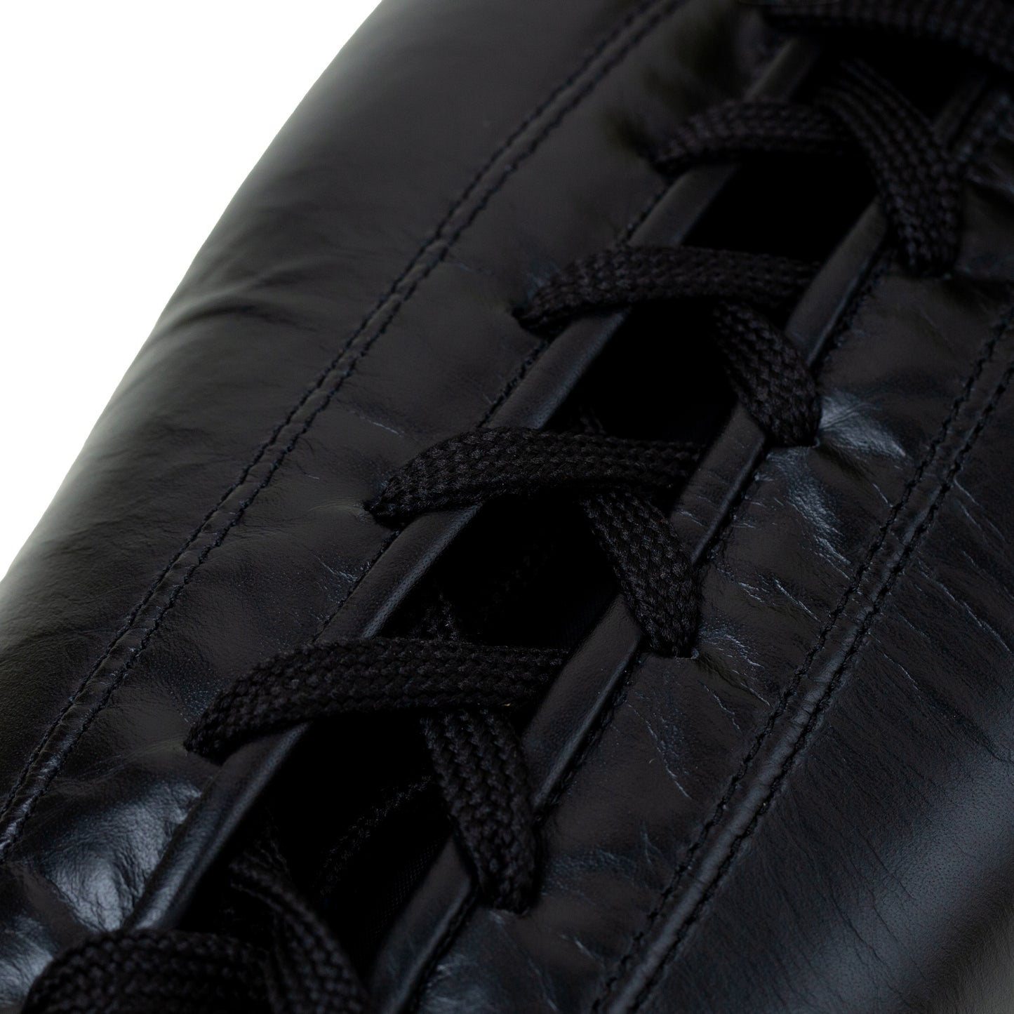 Powerlock 2 Pro Fight Gloves