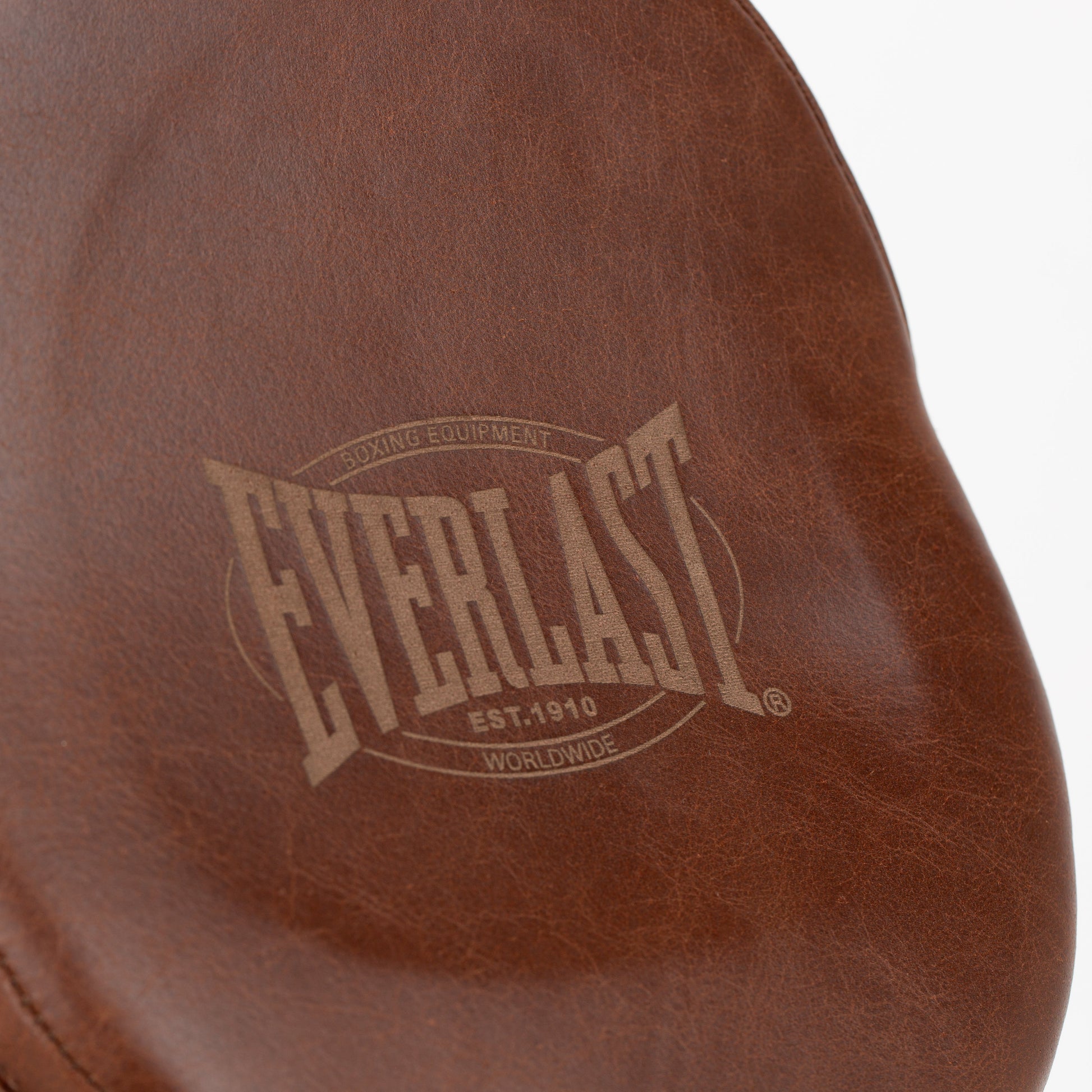 1910 Micro Focus Mitts - Everlast