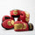 Prospect 2 Boxing Kit - Everlast Red/Gold