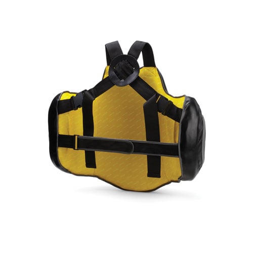 C3 Pro Protective Vest - back