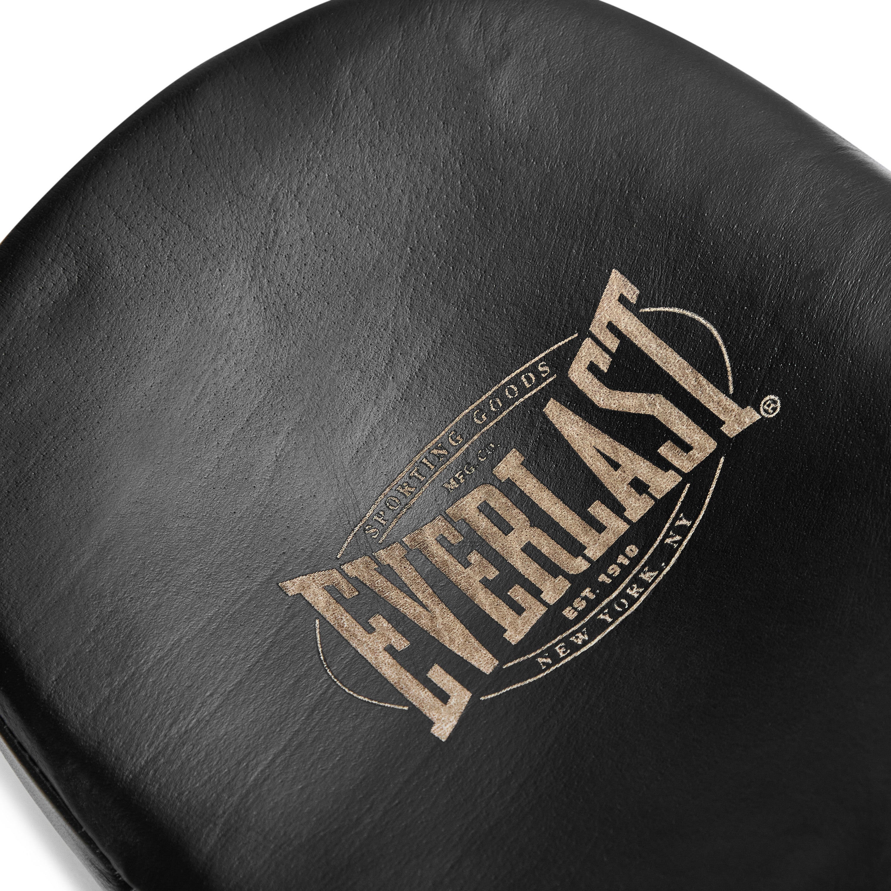 1910 Pro Leather Curved Focus Mitts – Everlast