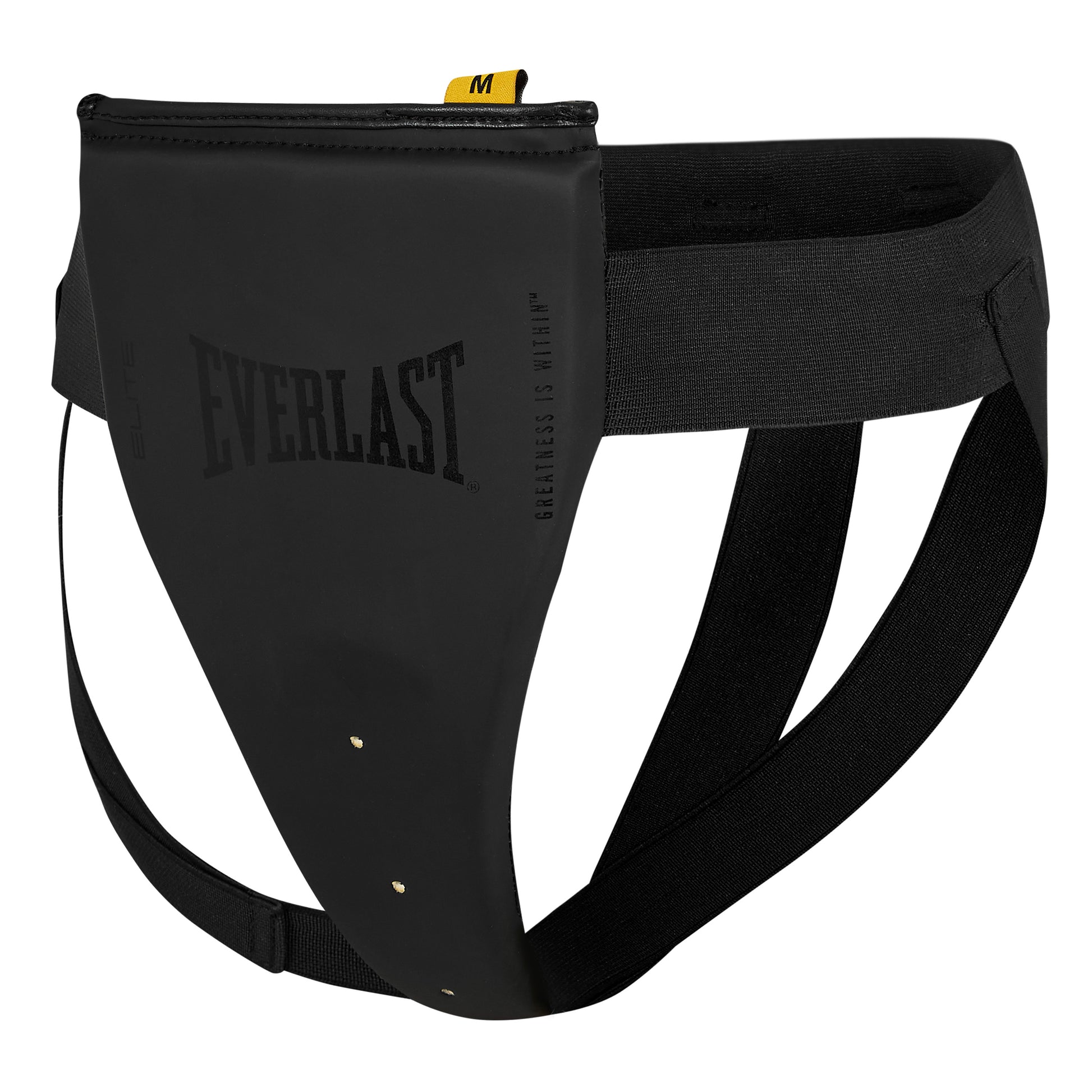 Elite Pro Womens Leather Groin Protector – Everlast