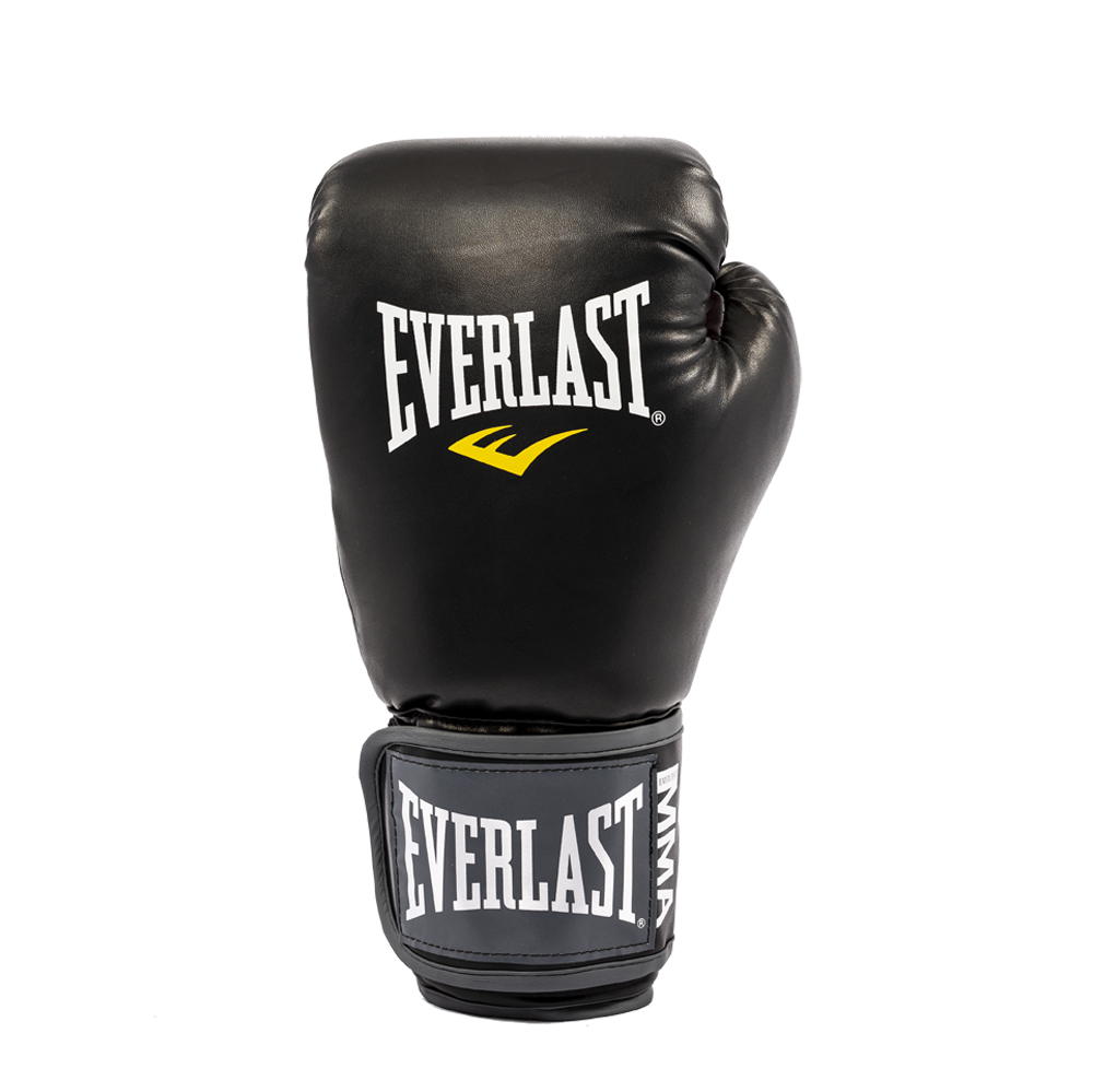 MMA Pro Style Gloves - Everlast