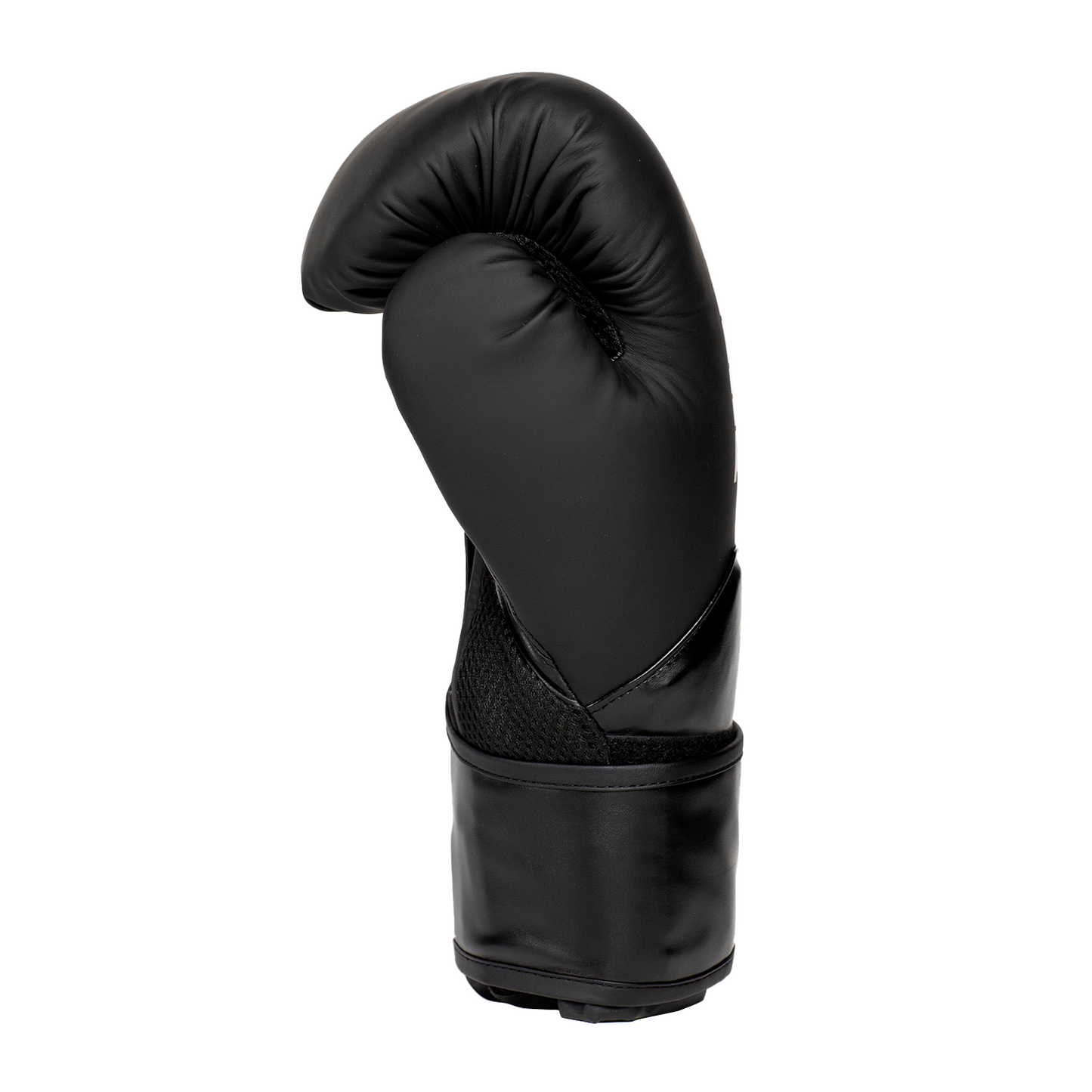 Elite 2 Boxing Glove