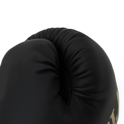 Elite 2 Boxing Glove
