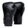 Elite 2 Hook and Loop Pro Boxing Gloves Black