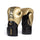 Elite 2 Boxing Glove - Everlast - Gold/Black