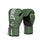 Elite 2 Boxing Glove - Everlast - Green
