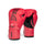 Elite 2 Boxing Glove - Everlast - Red