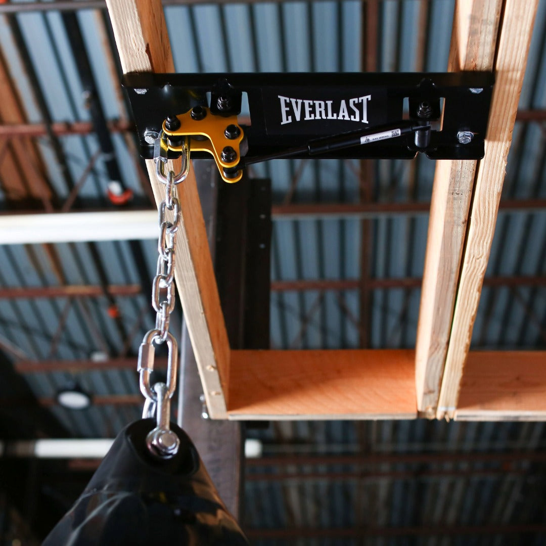 Everlast x Pro Mountings CM-1000GS Ceiling Mount