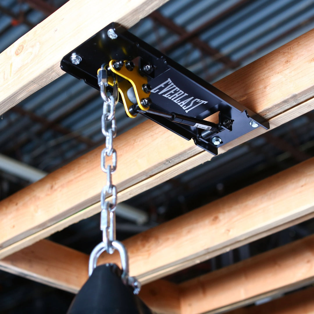 Everlast x Pro Mountings CM-1000GS Ceiling Mount
