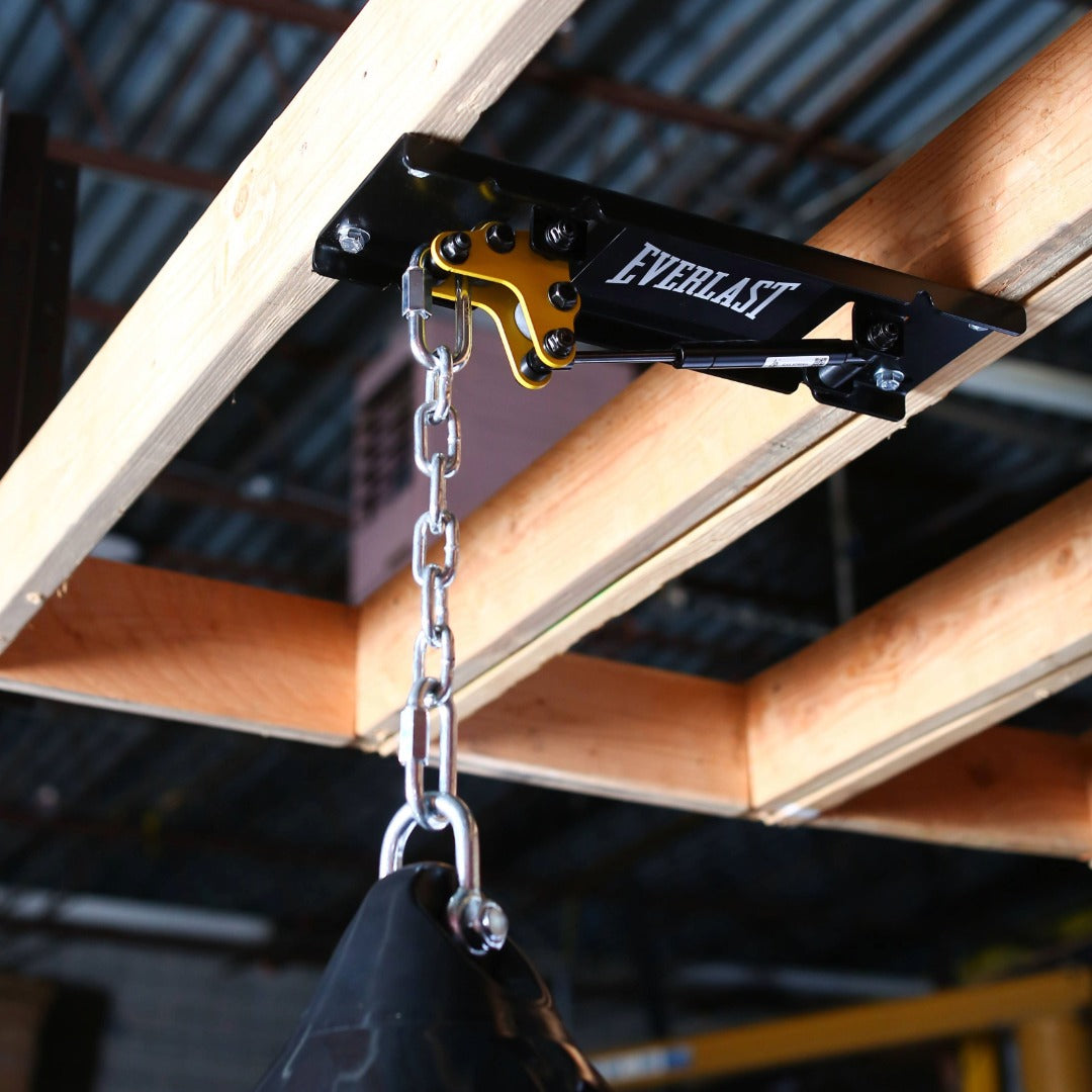 Everlast x Pro Mountings CM-1000GS Ceiling Mount