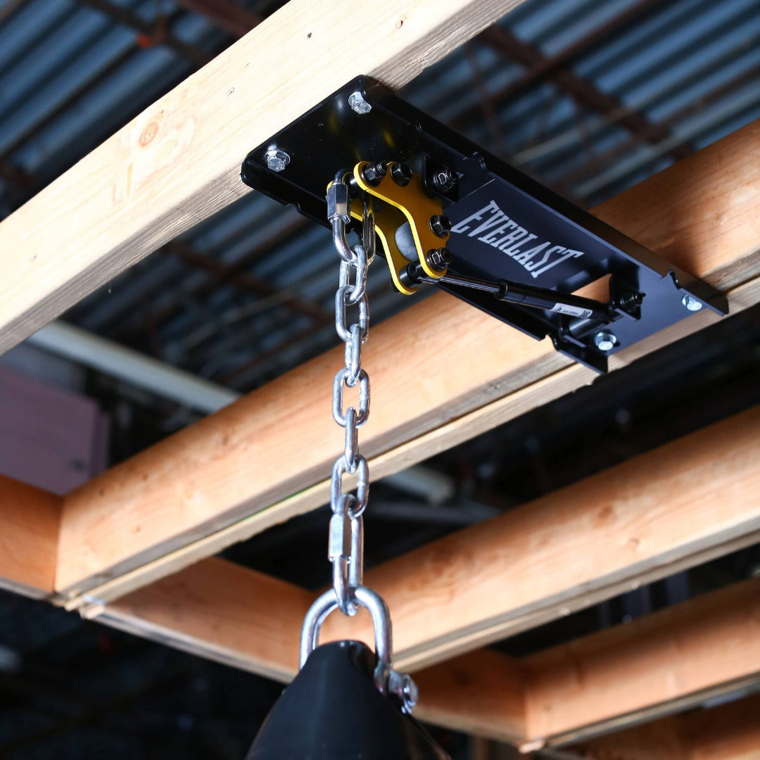 Everlast x Pro Mountings CM-1000GS Ceiling Mount
