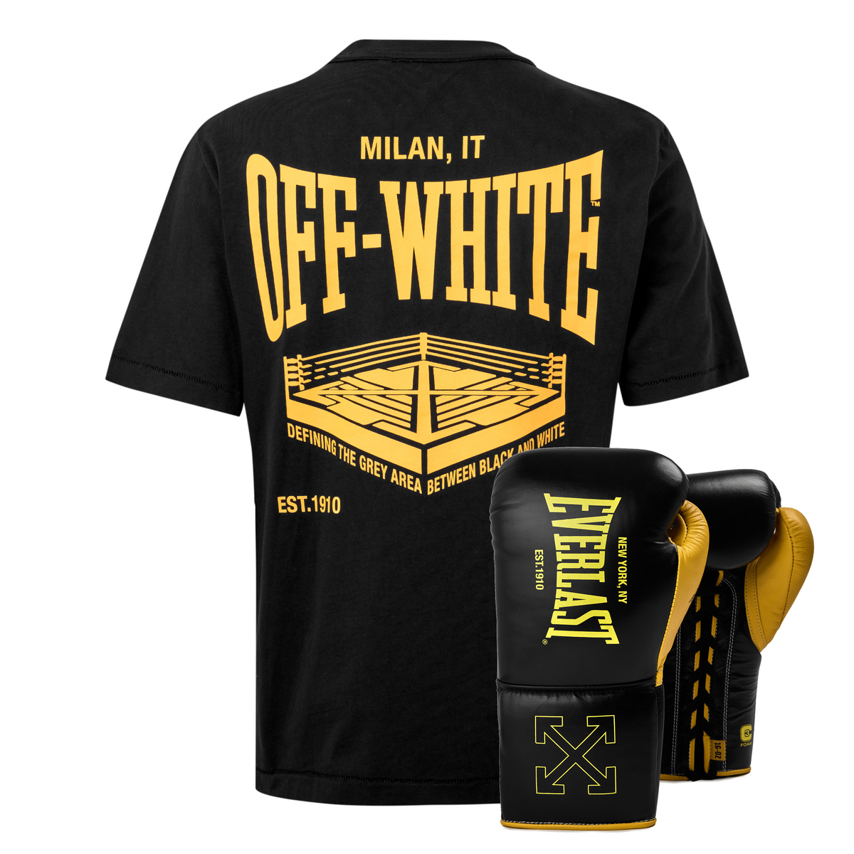 Off-White™ c/o Everlast Graphic T Shirt and 16oz Glove Bundle