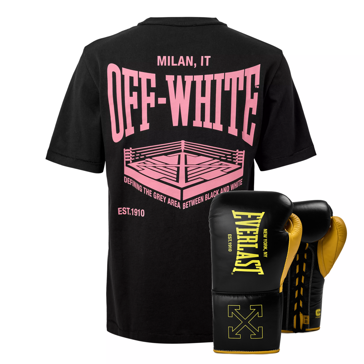 Off-White™ c/o Everlast Graphic T Shirt and 16oz Glove Bundle