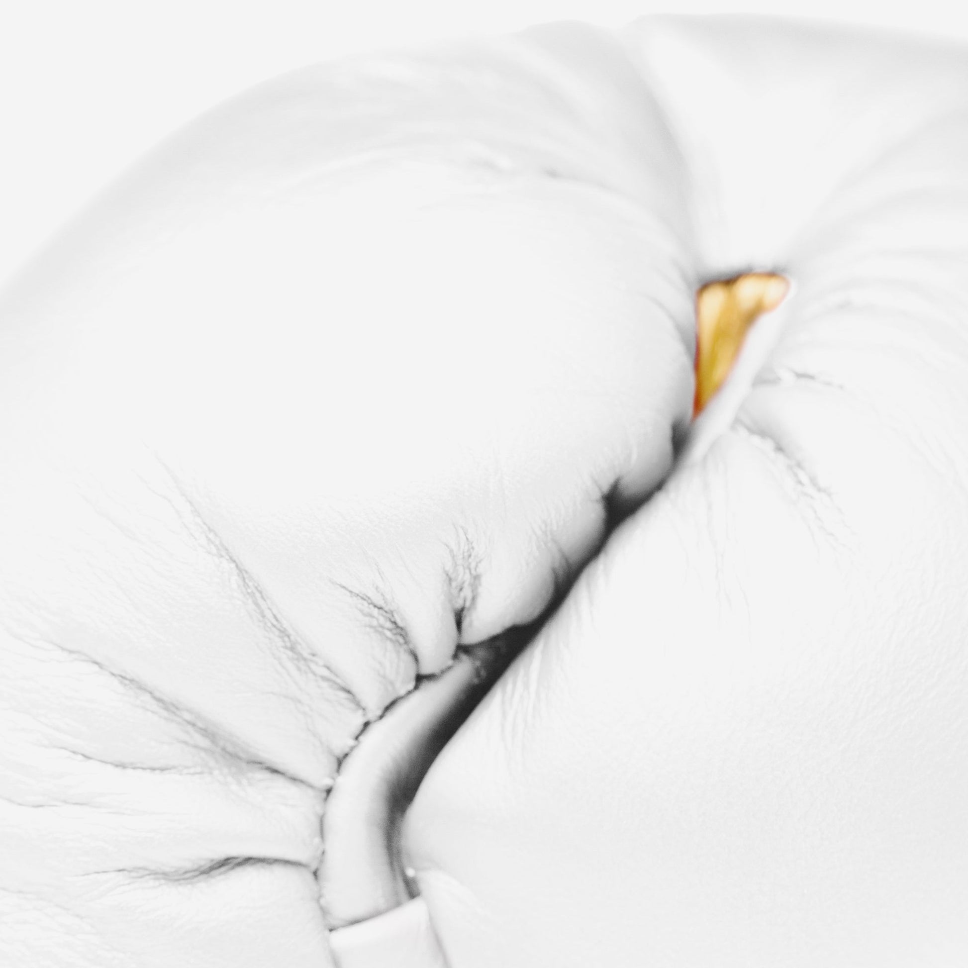 MX Fight Glove - Everlast White/Gold