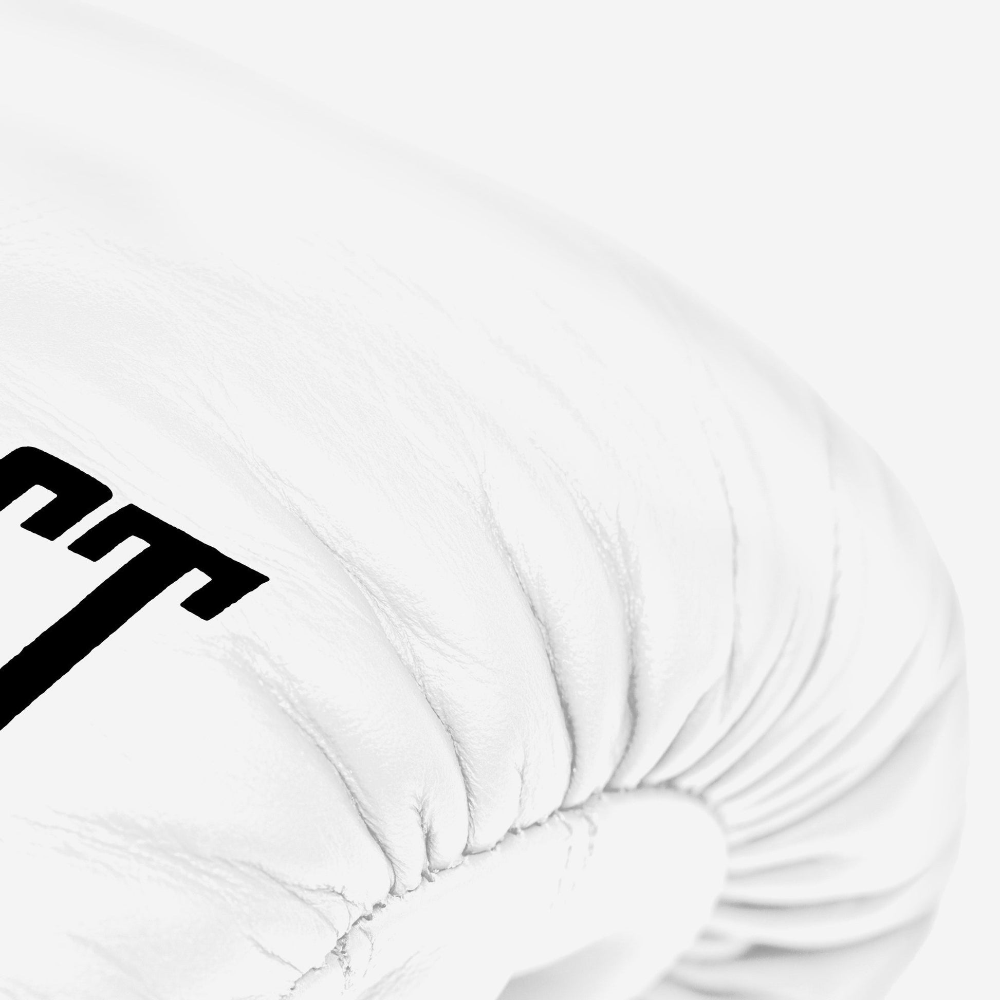 MX Fight Glove - Everlast White/Gold