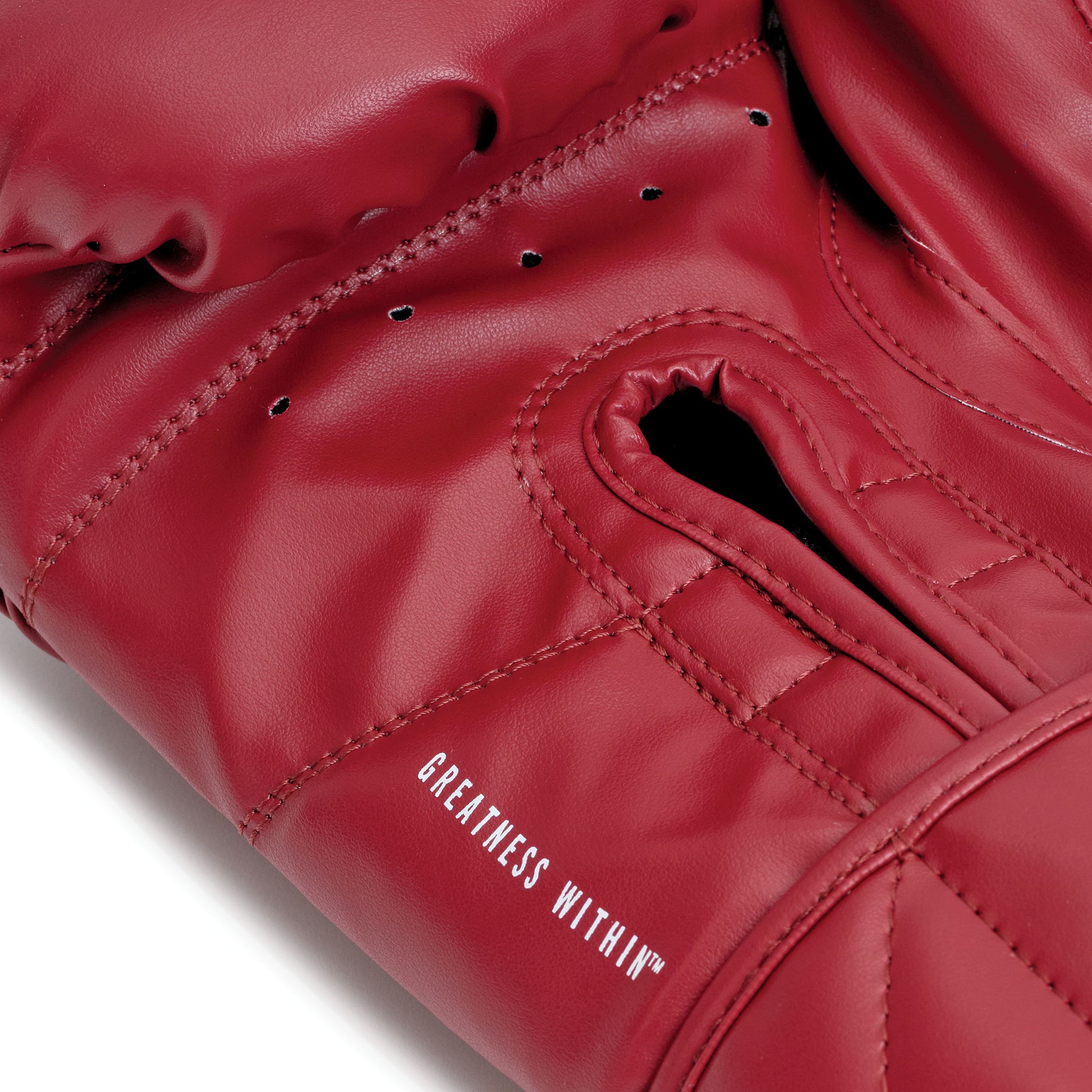 Red classic boxing gloves with 'Everlast' 