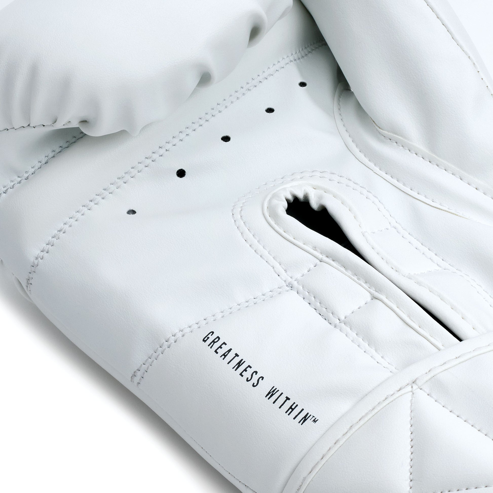 White classic boxing gloves with 'Everlast'
