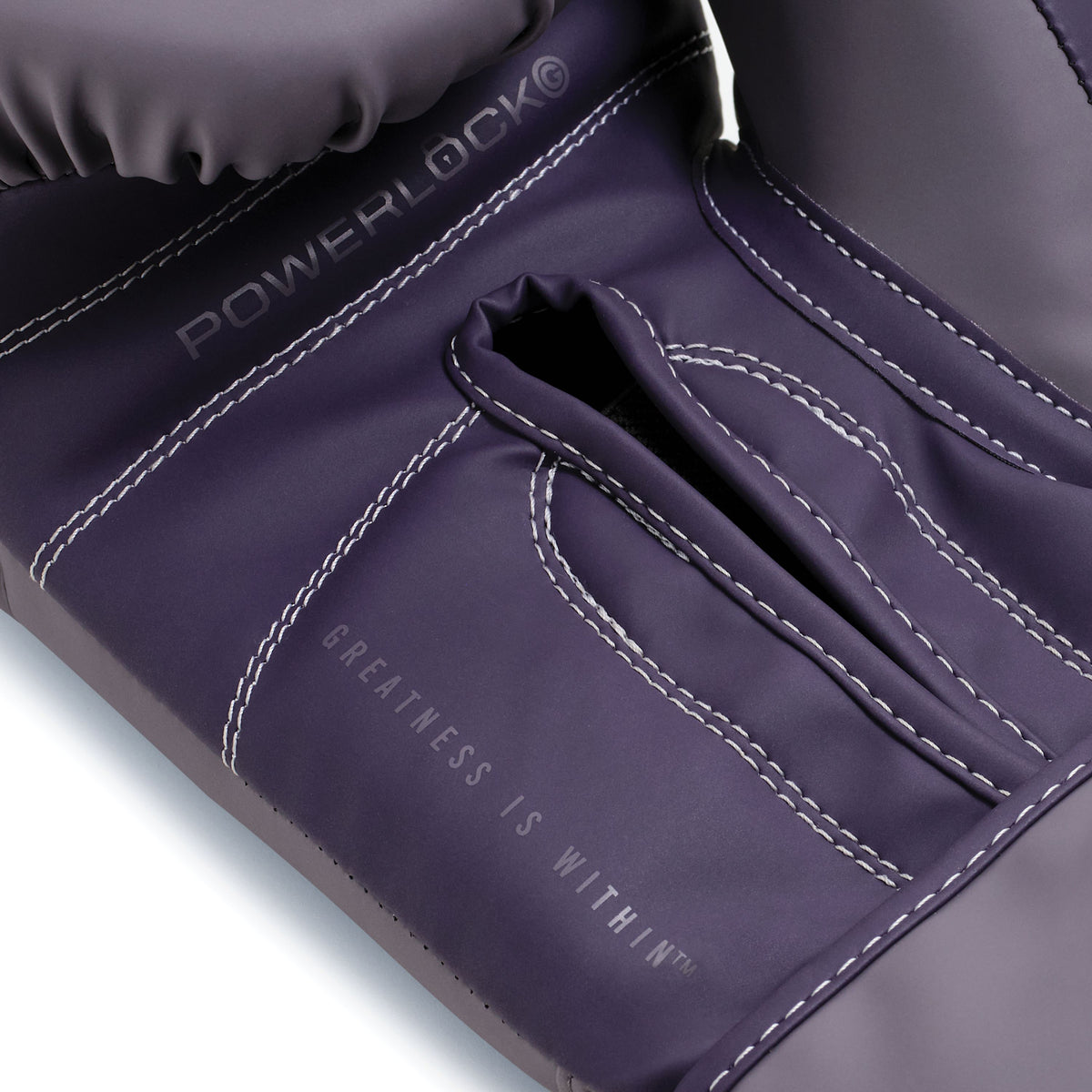 Powerlock OG Boxing Glove Hook & Loop Shark/Purple