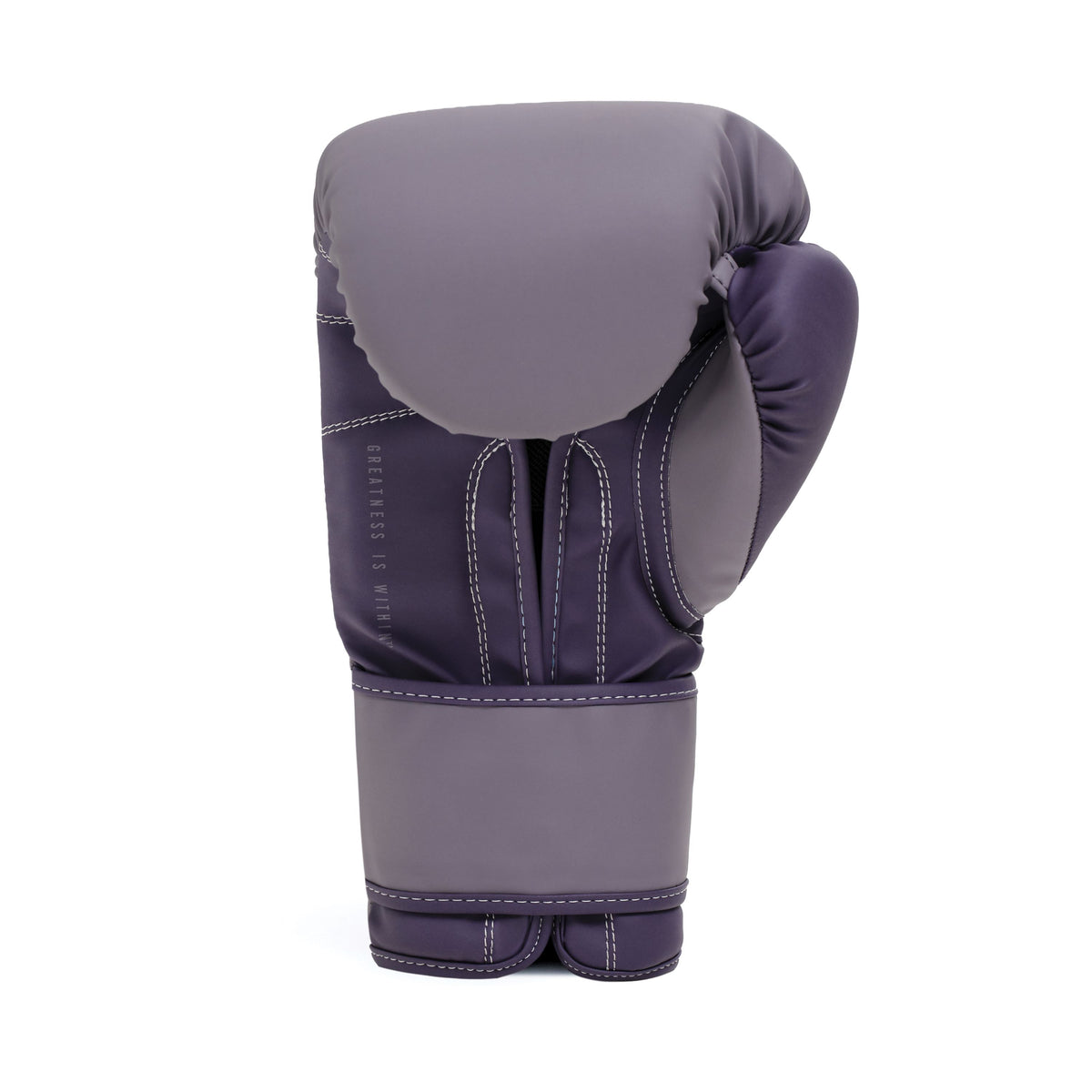 Powerlock OG Boxing Glove Hook & Loop Shark/Purple