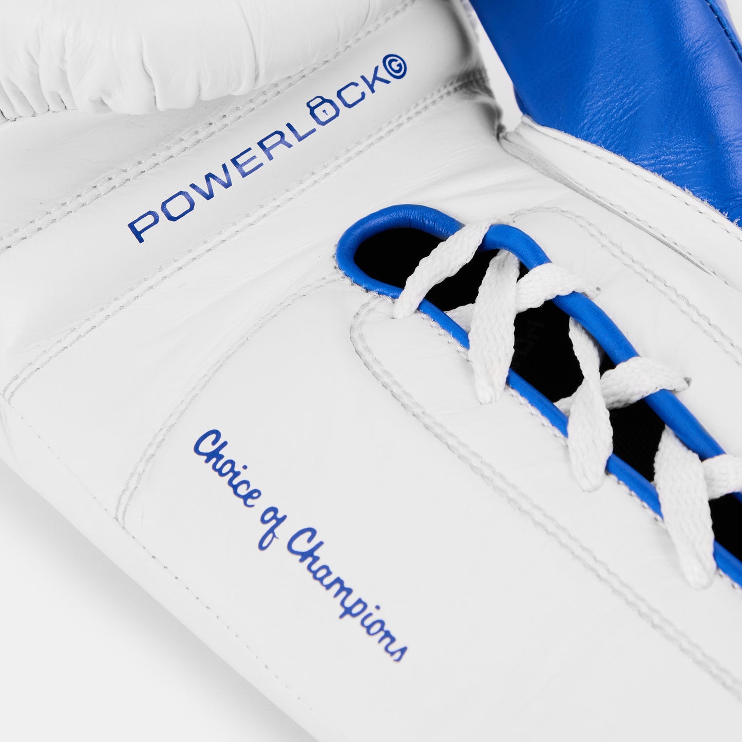 Everlast x Palm Angels Capsule Powerlock OG Pro Training Glove Lace Up