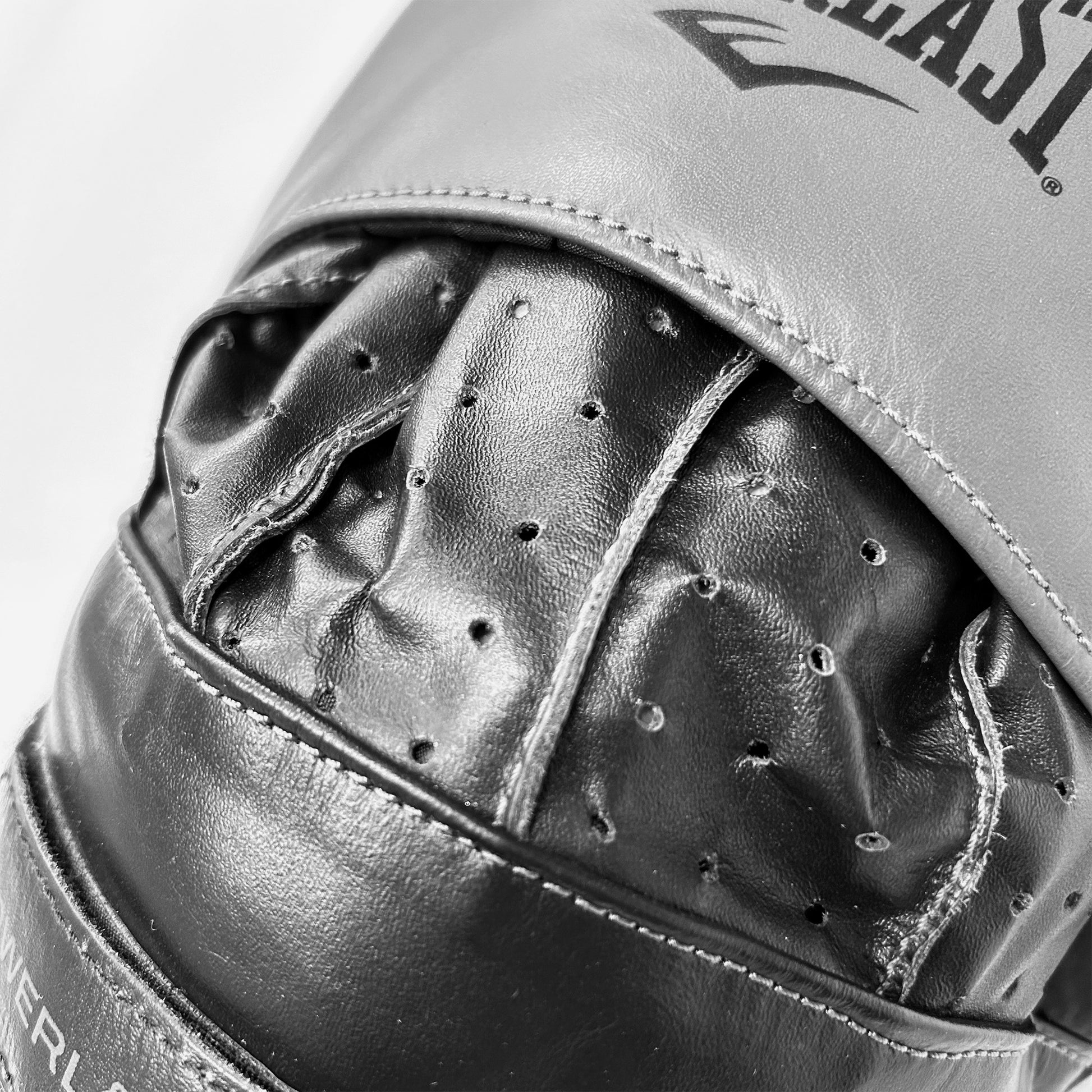 Powerlock Pro Focus Mitt