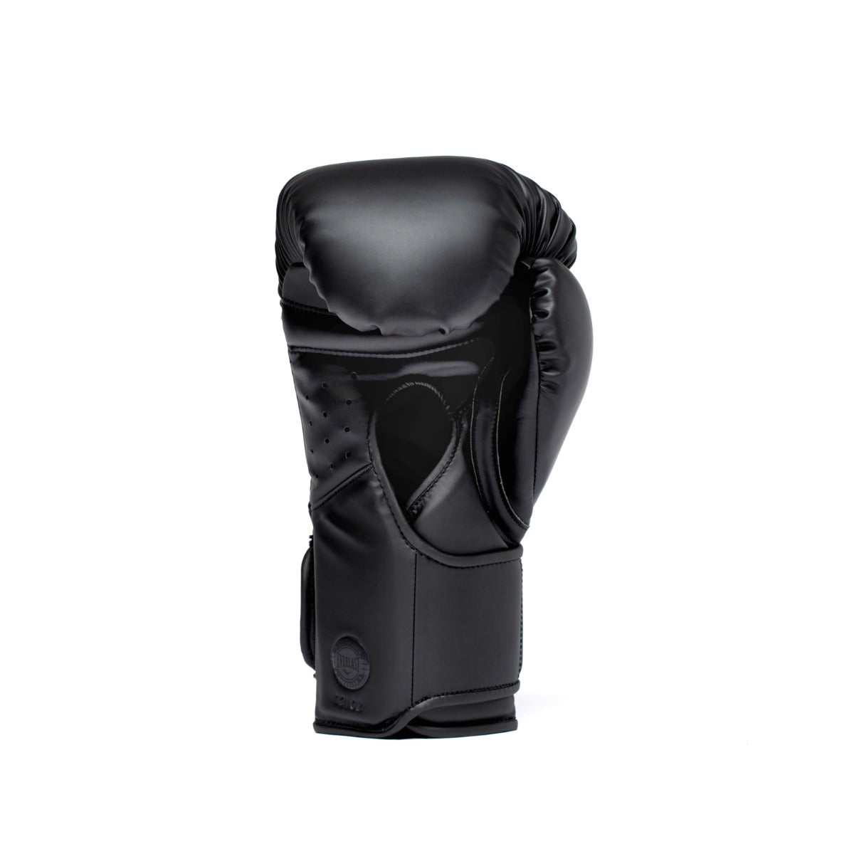 Elite 2 Hook & Loop Pro Boxing Gloves - Everlast