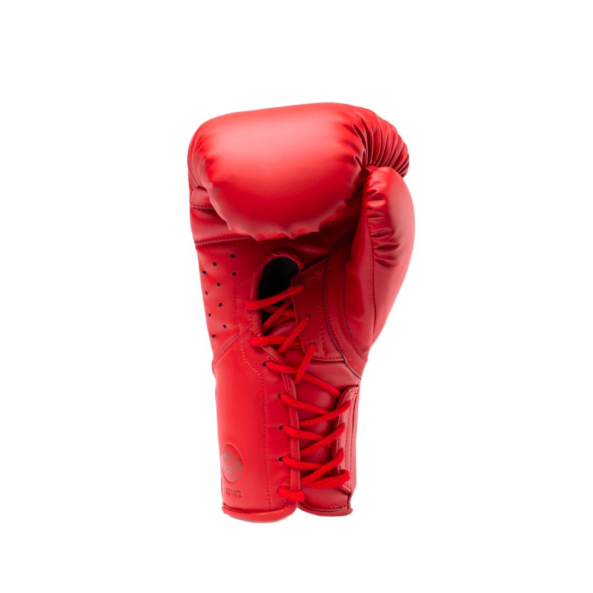 Everlast 20 oz boxing gloves hot sale